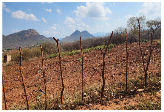 Challenges 15 00033 g0a2