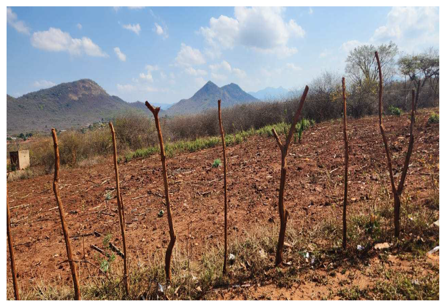 Challenges 15 00033 g0a2