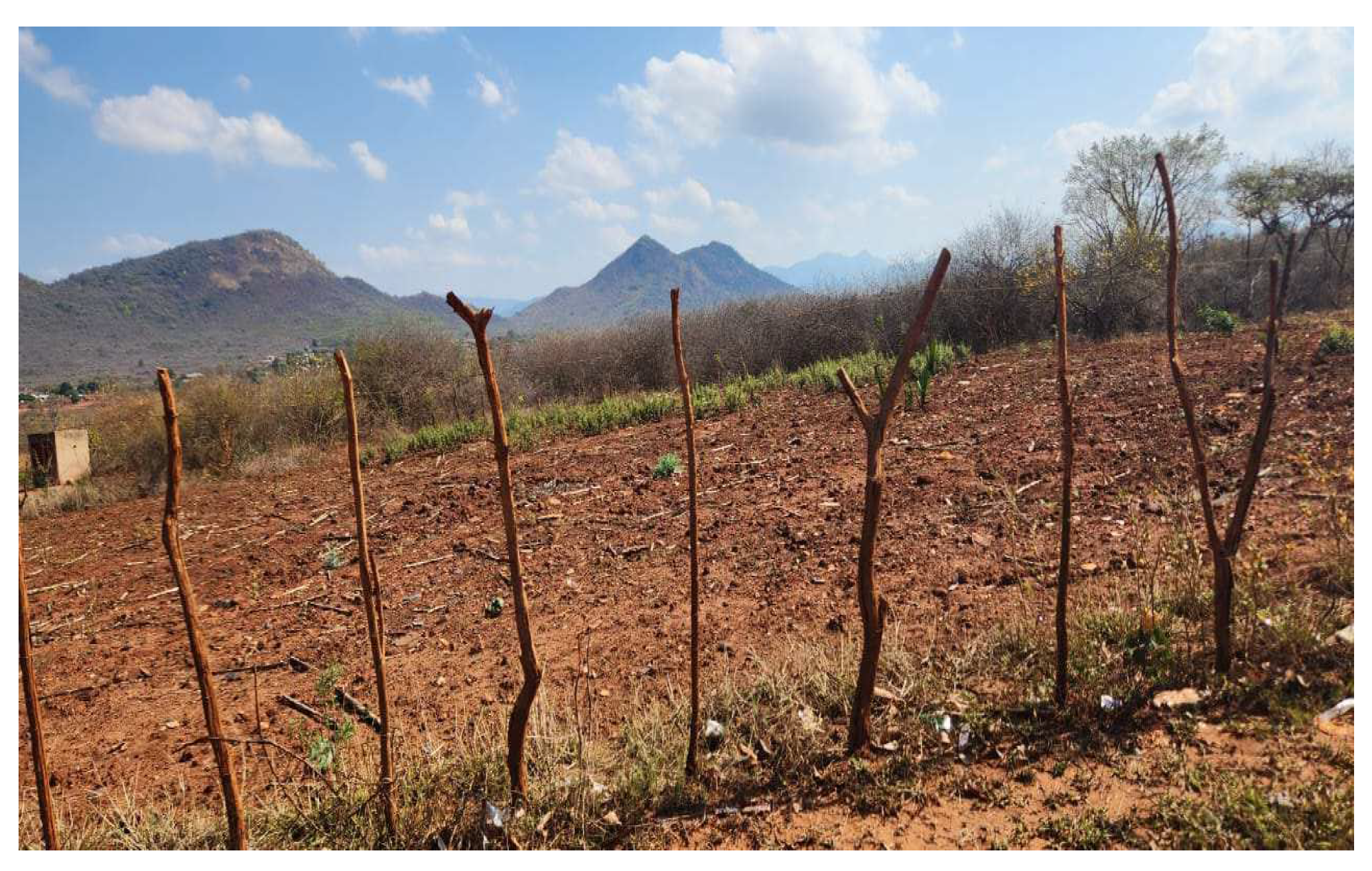 Challenges 15 00033 g0a3