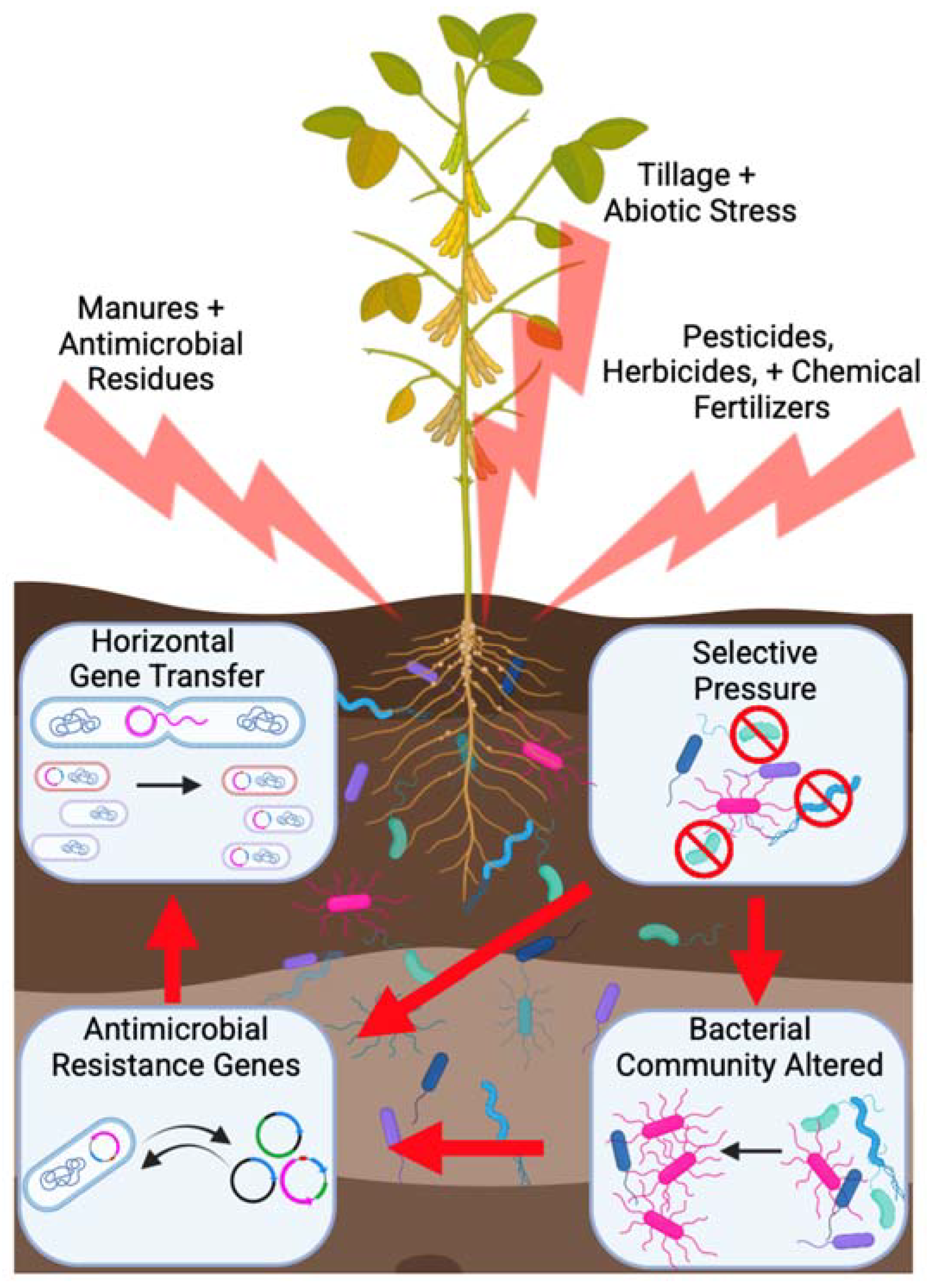 Challenges 16 00022 g001