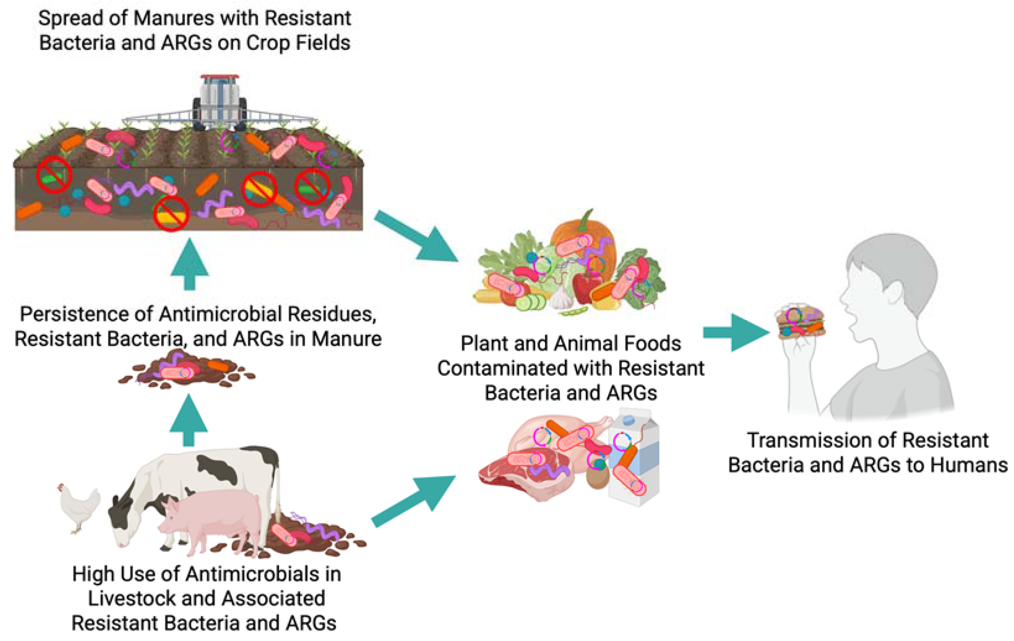 Challenges 16 00022 g003
