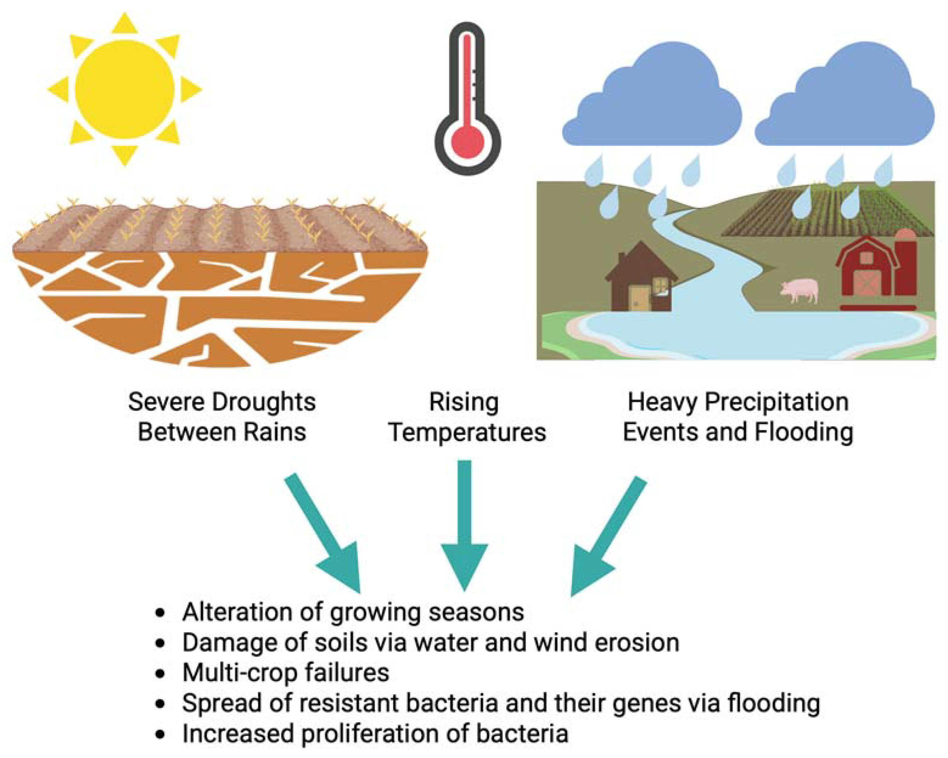 Challenges 16 00022 g004