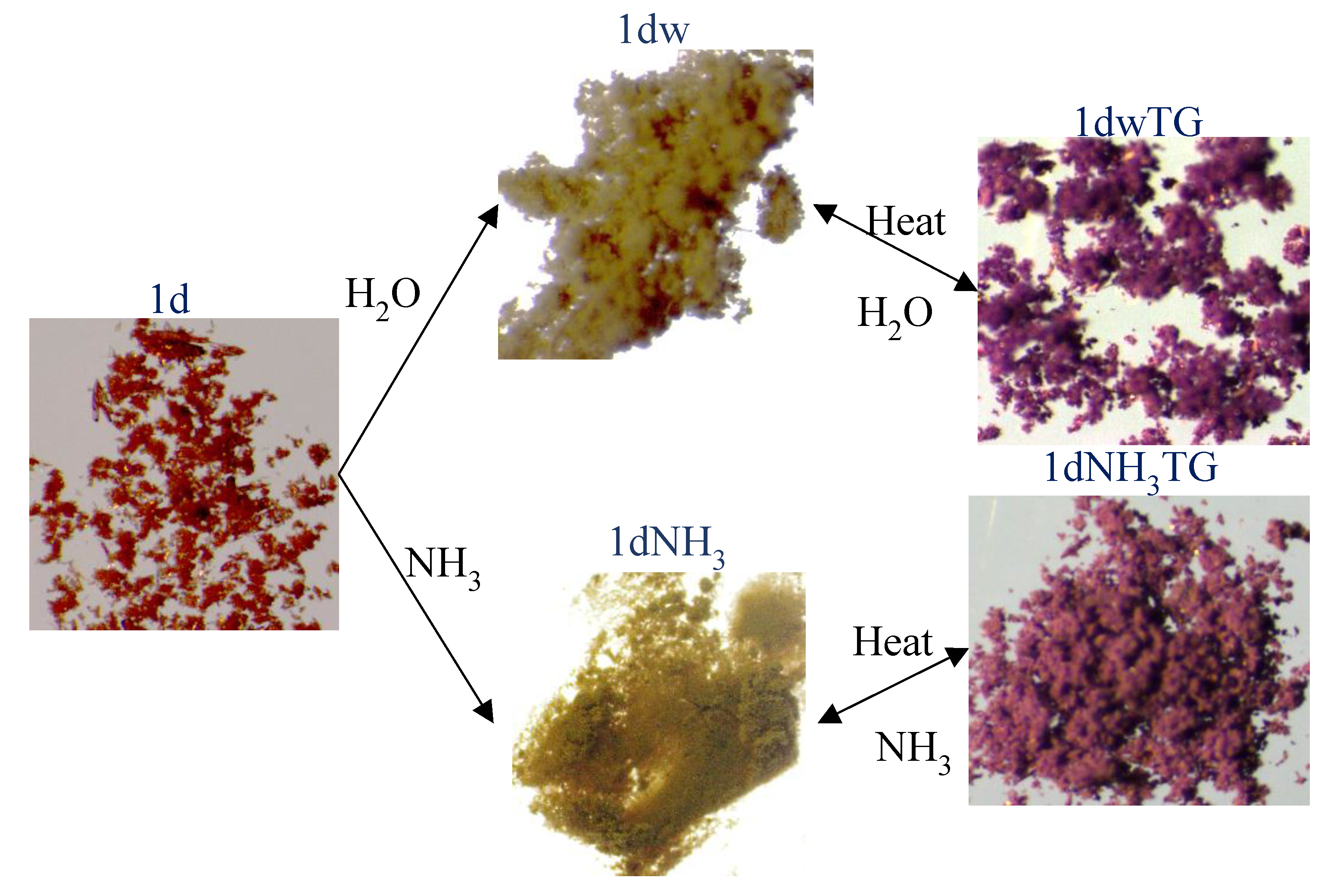 Chemistry 01 00009 g007