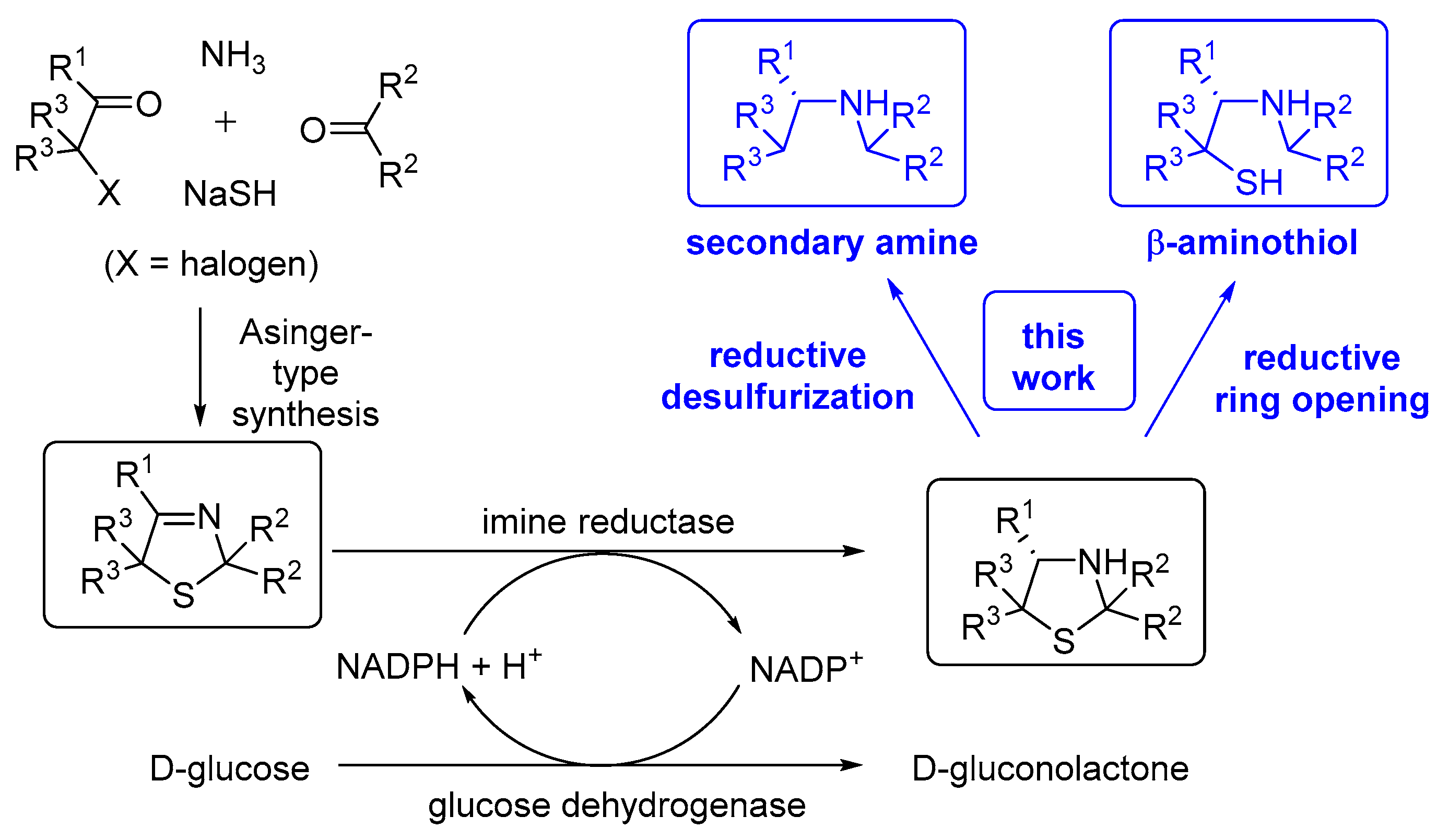 Chemistry 01 00012 sch001