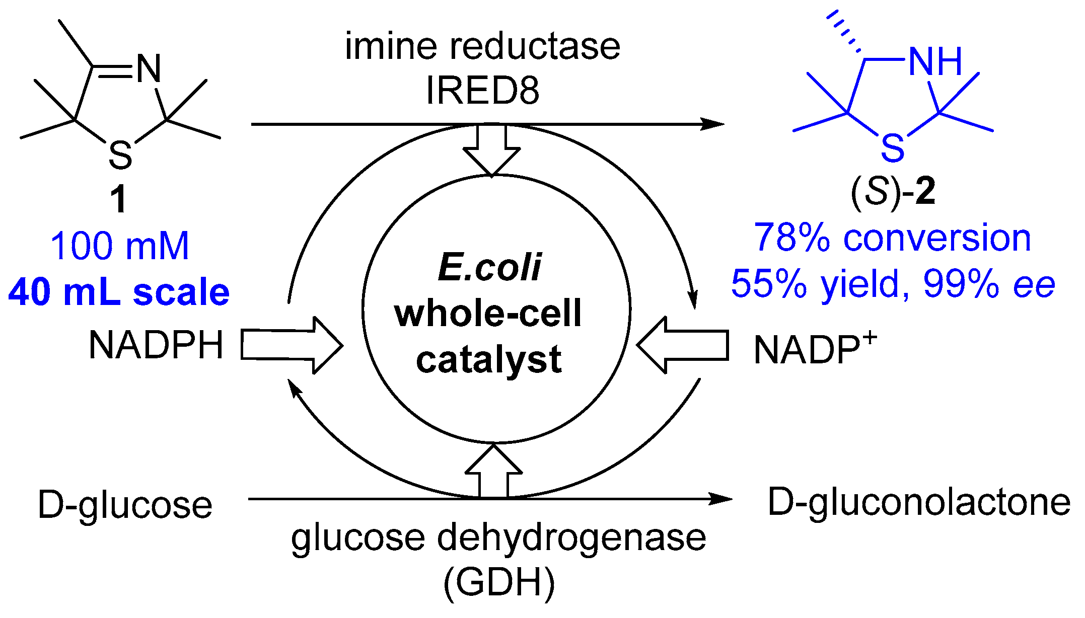 Chemistry 01 00012 sch002