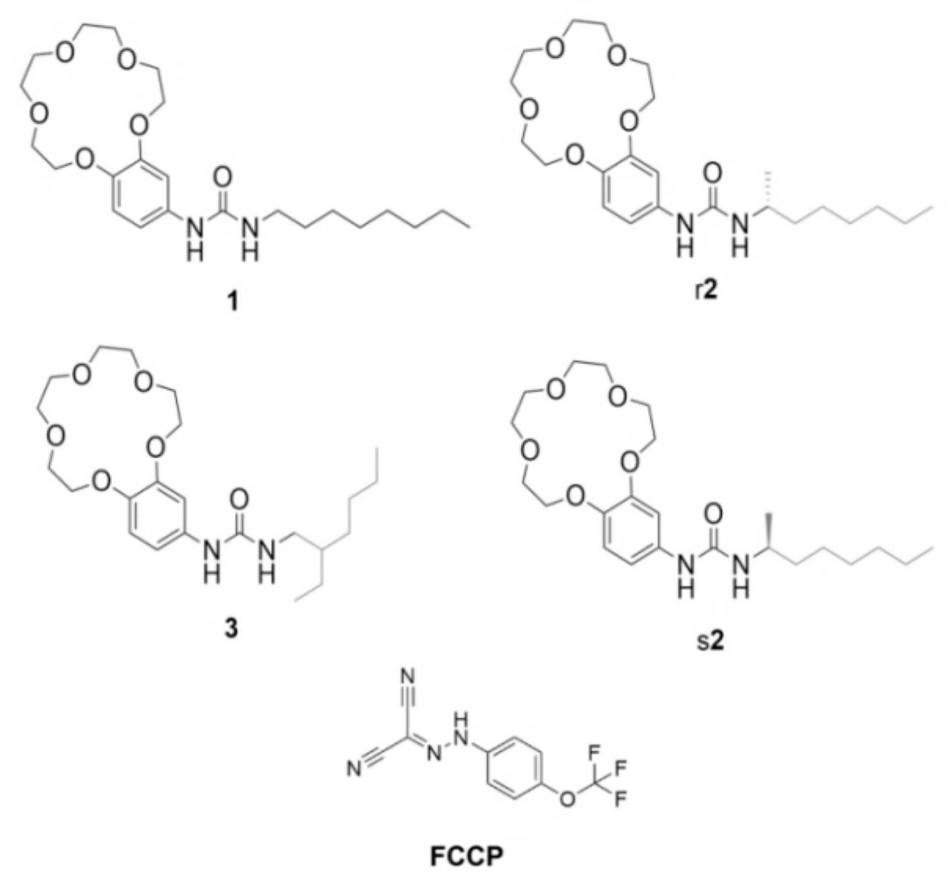 Chemistry 02 00003 g001