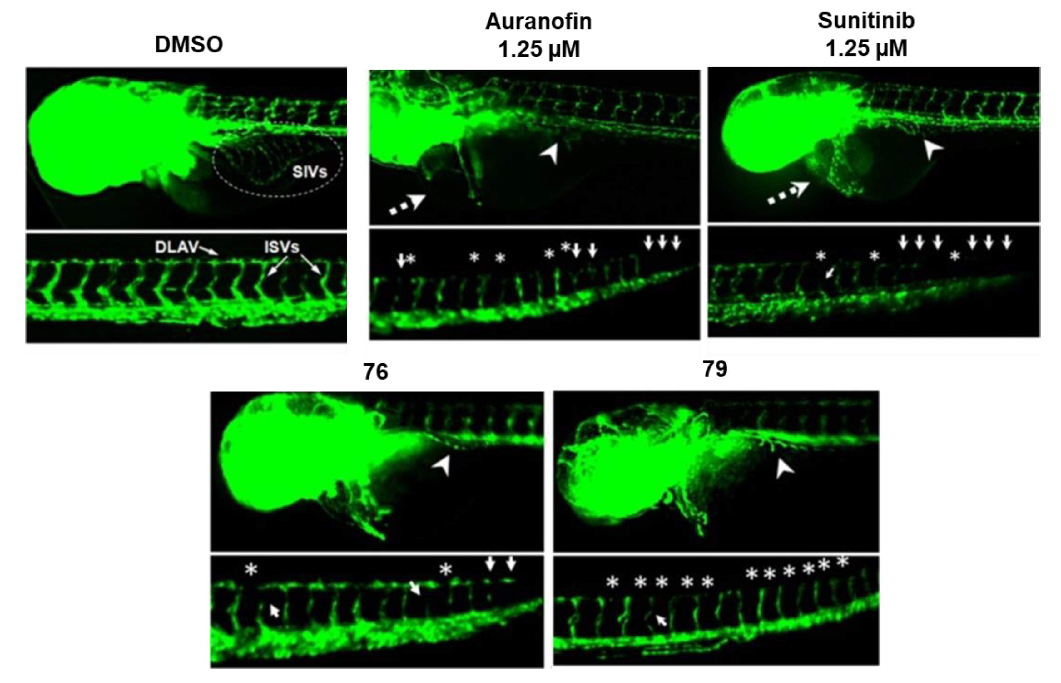 Chemistry 02 00013 g008