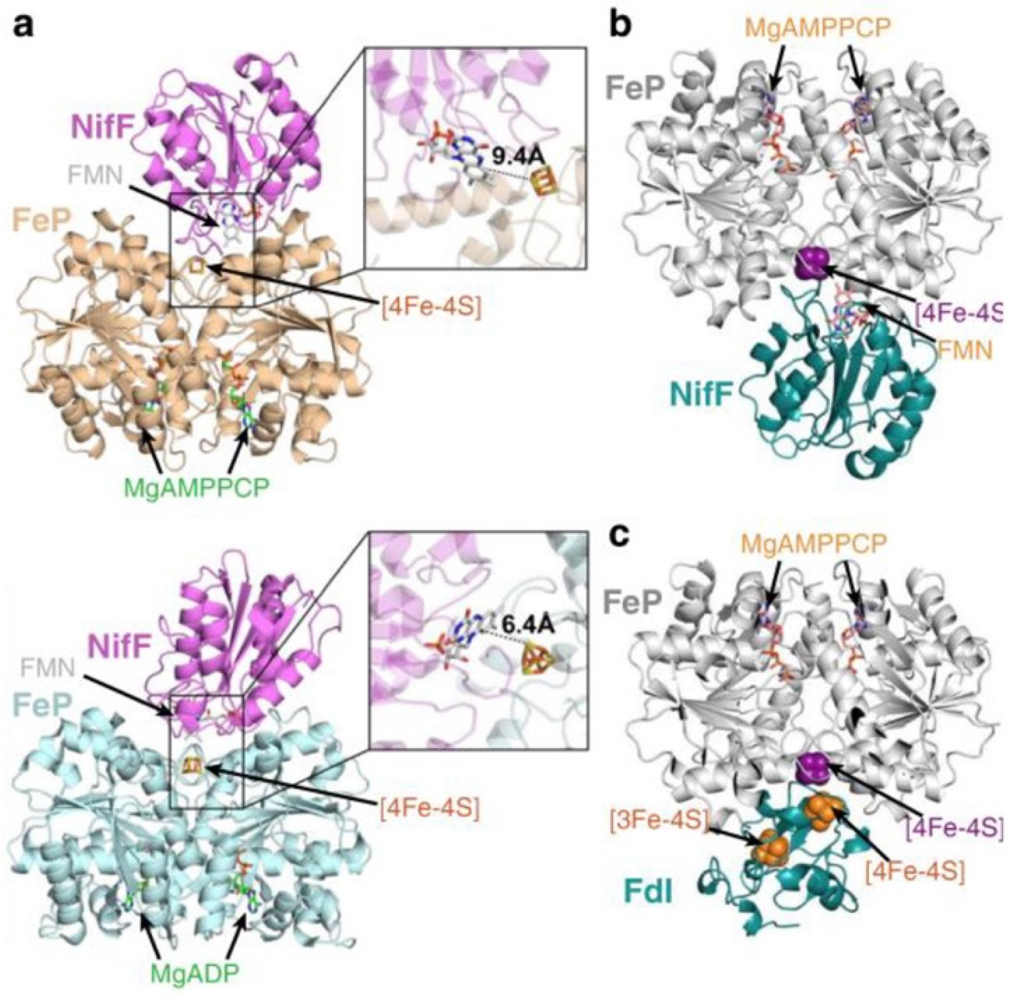 Chemistry 02 00021 g002