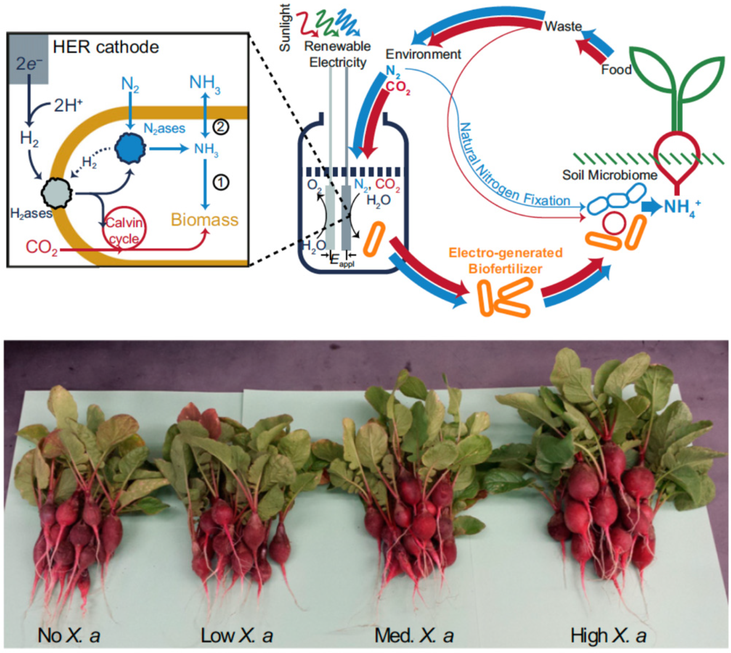 Chemistry 02 00021 g004