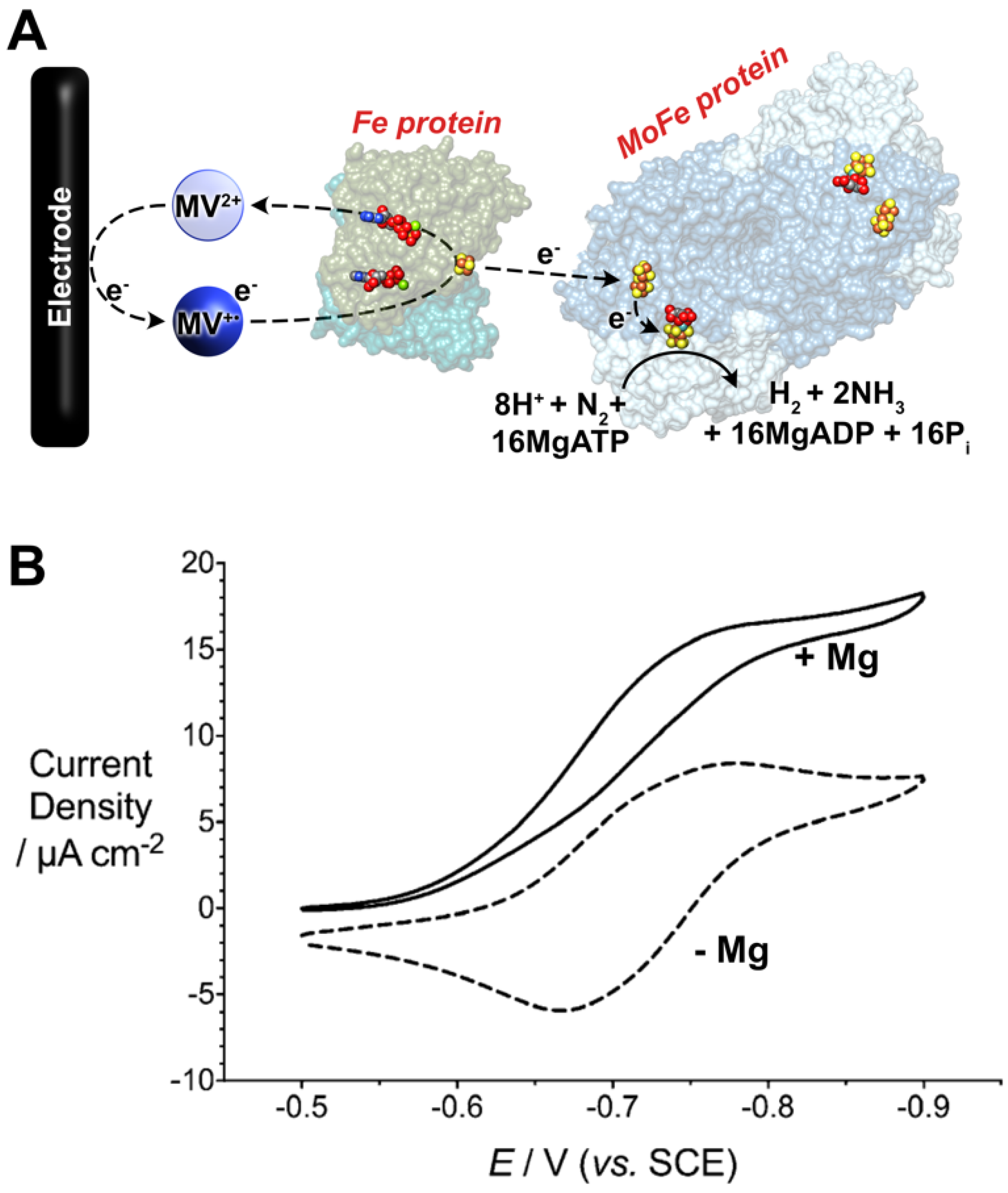 Chemistry 02 00021 g005