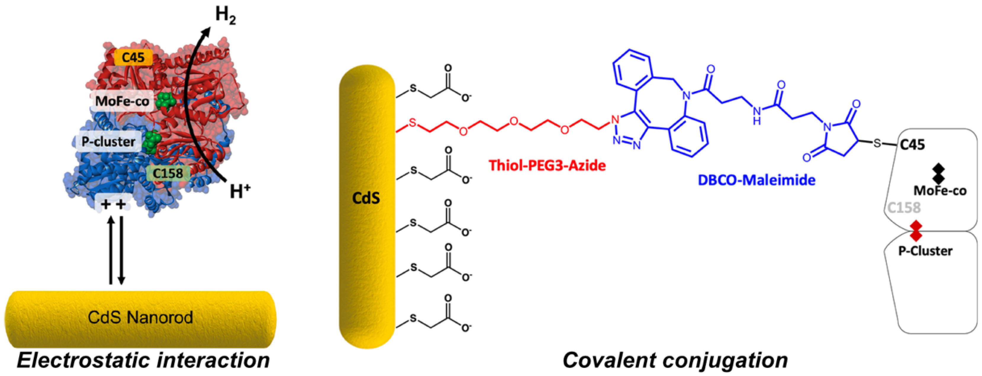Chemistry 02 00021 g006