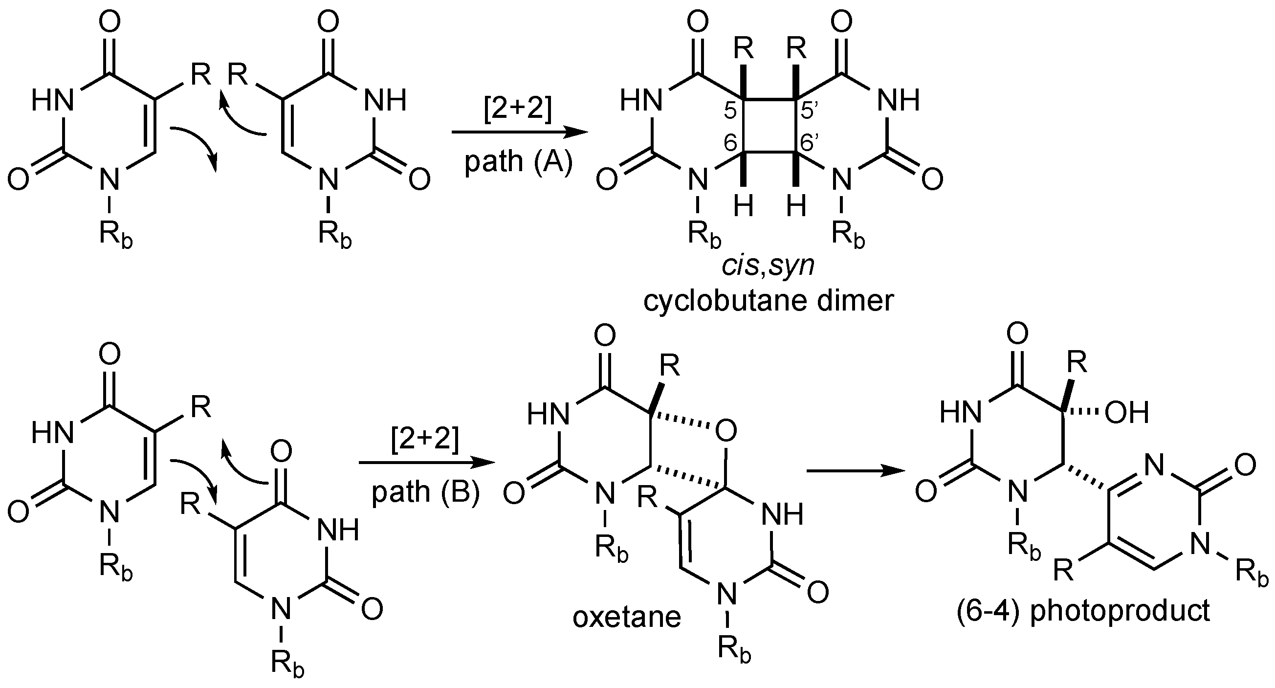 Chemistry 02 00027 sch001