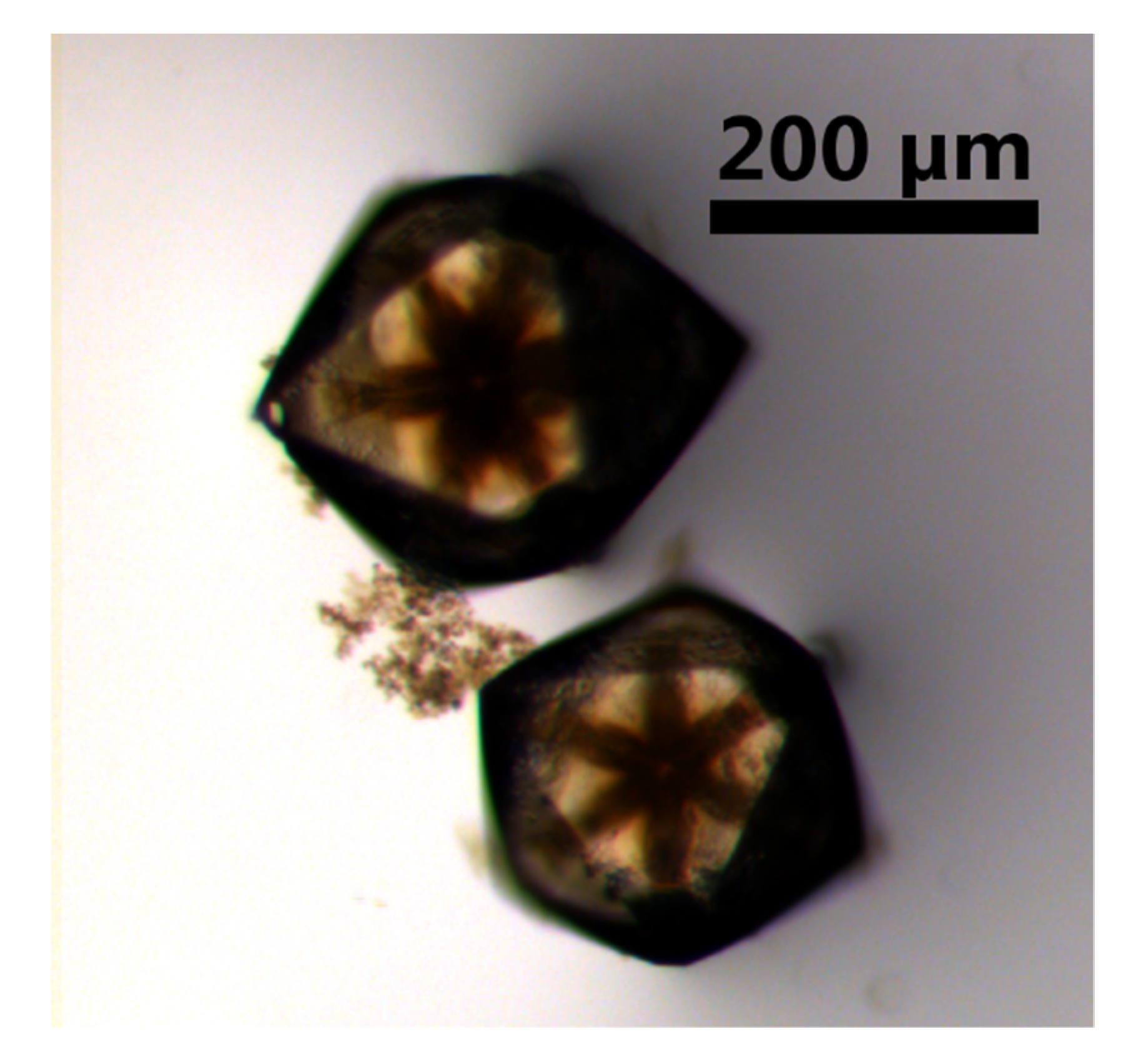 Chemistry 02 00050 g006