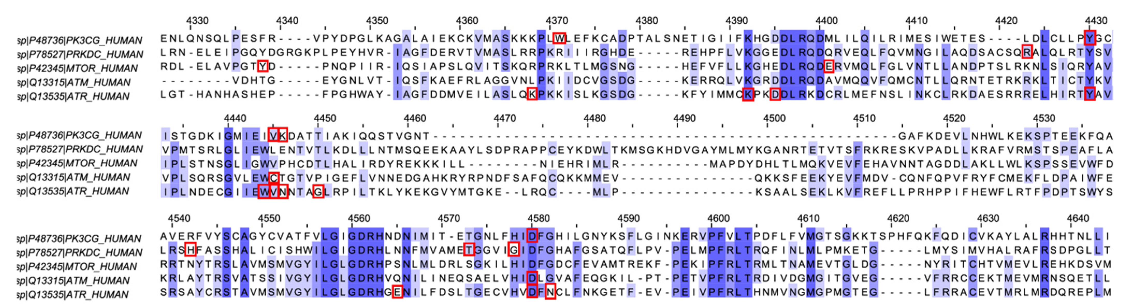 Chemistry 03 00036 g005
