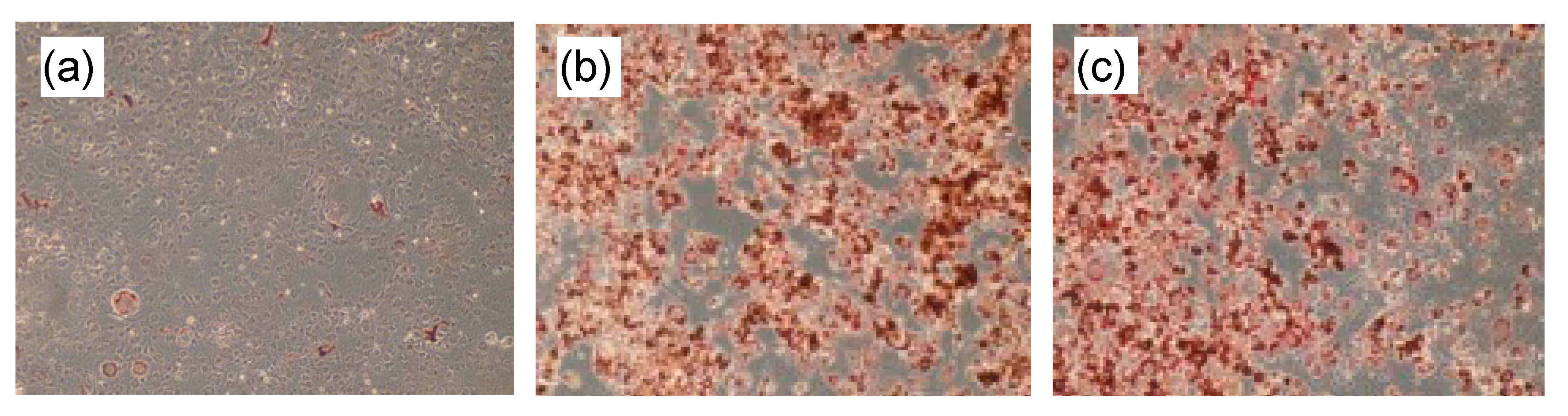 Chemistry 03 00045 g002 Chemistry 03 00045 g002