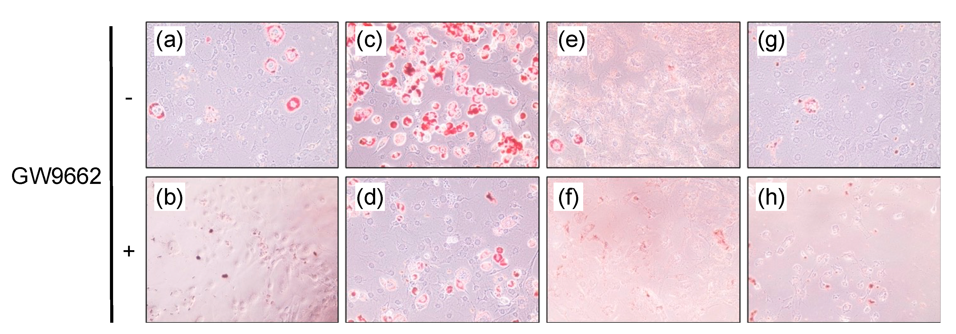 Chemistry 03 00045 g004 Chemistry 03 00045 g004