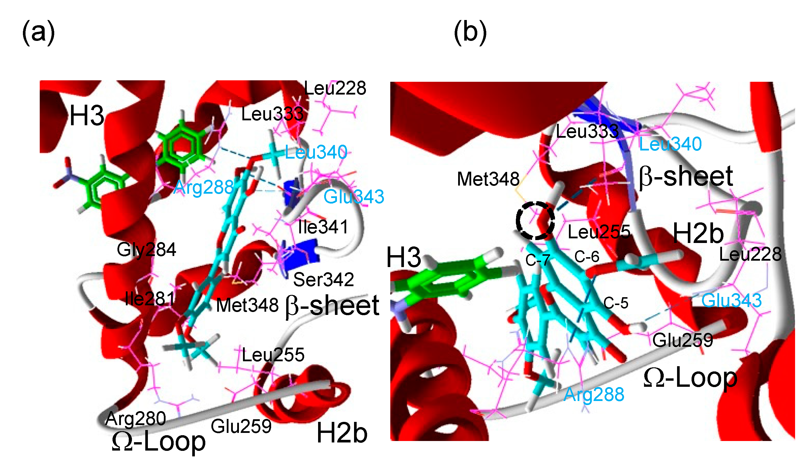 Chemistry 03 00045 g005 Chemistry 03 00045 g005