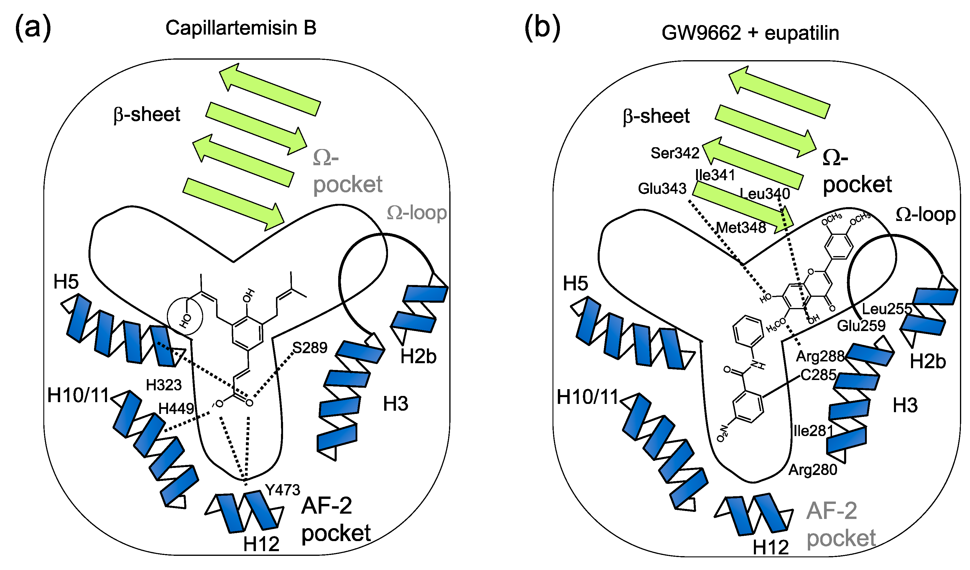 Chemistry 03 00045 g006 Chemistry 03 00045 g006