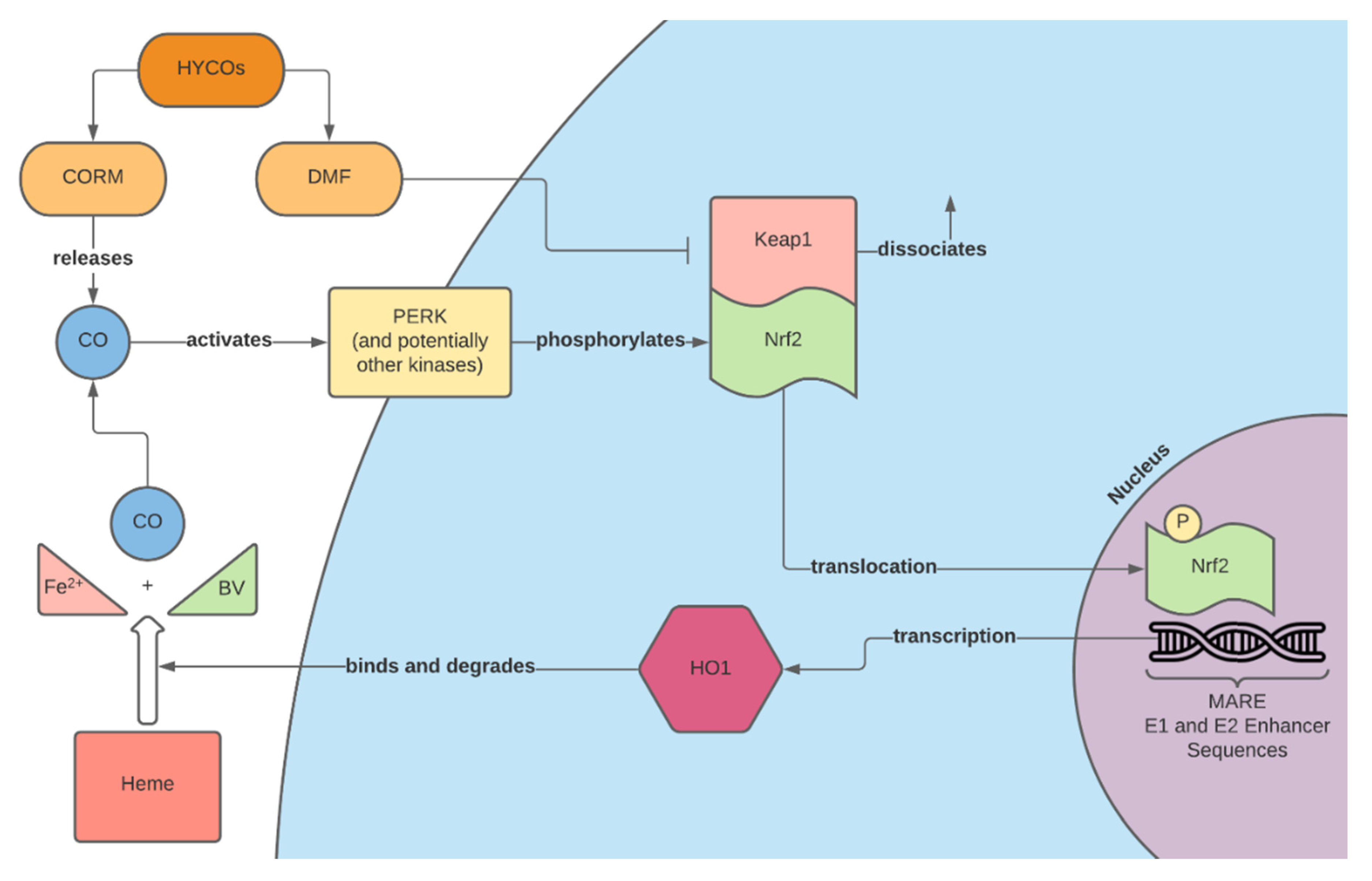 Chemistry 03 00057 g001