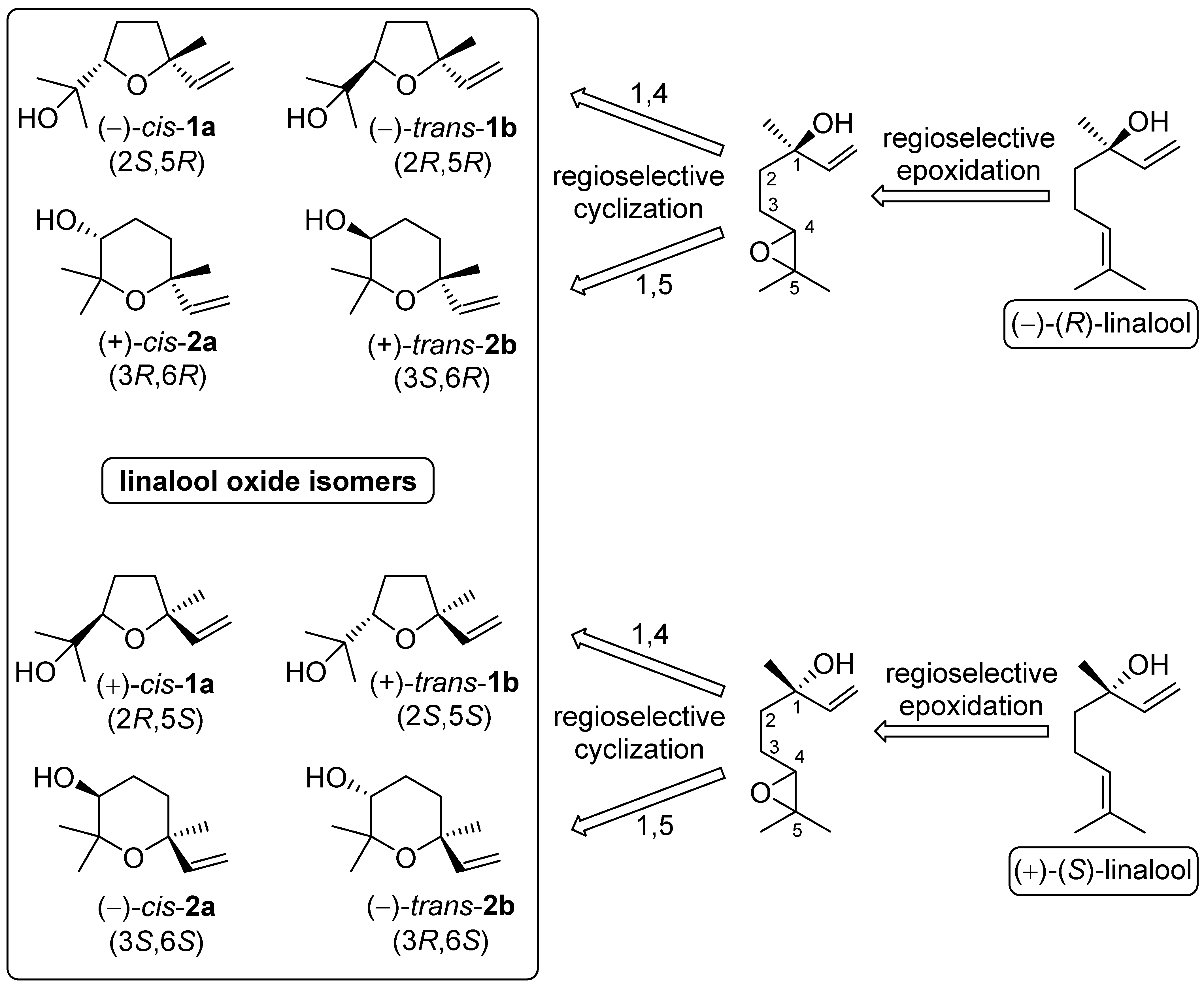 Chemistry 03 00090 g001