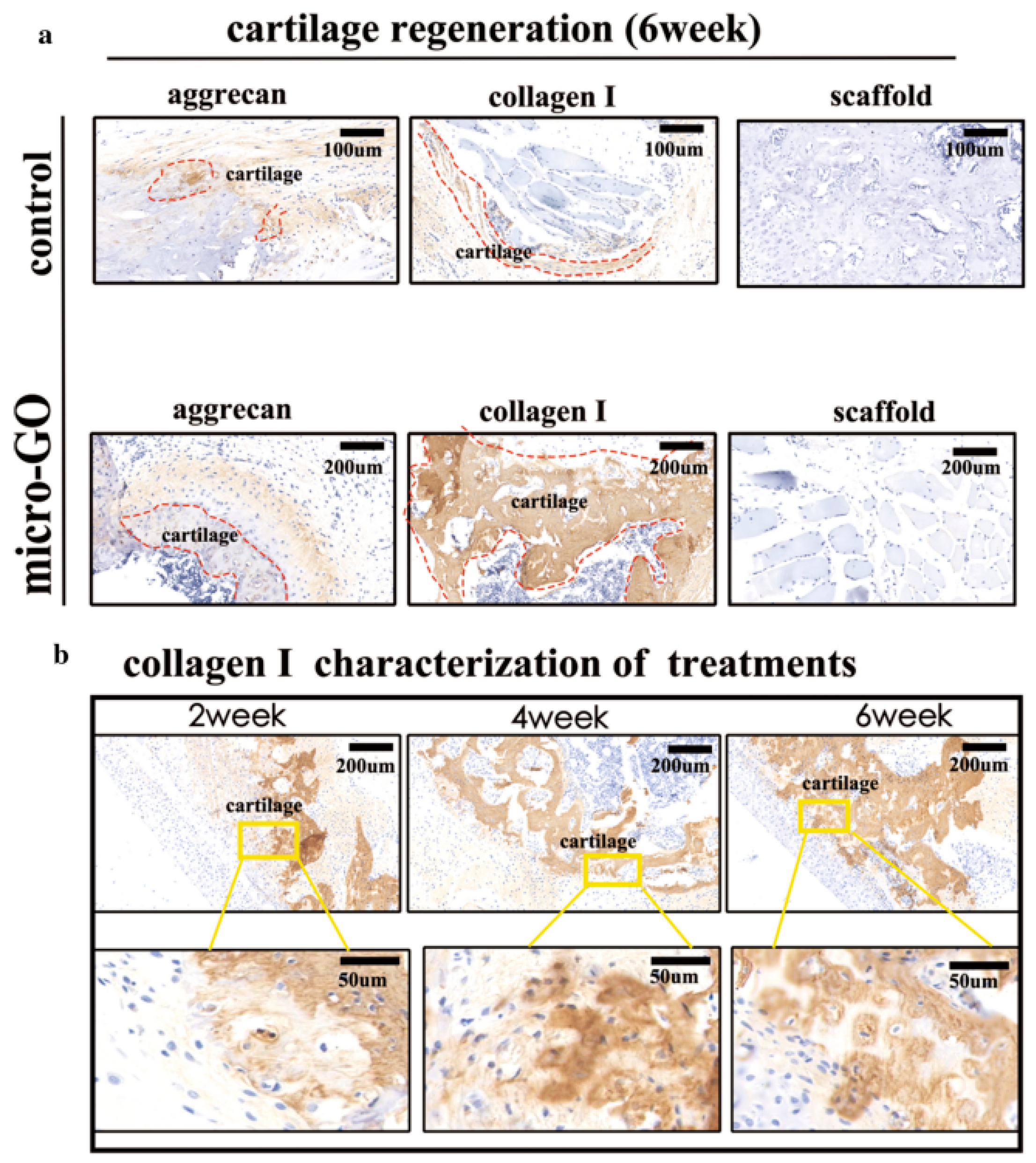 Chemistry 03 00095 g007