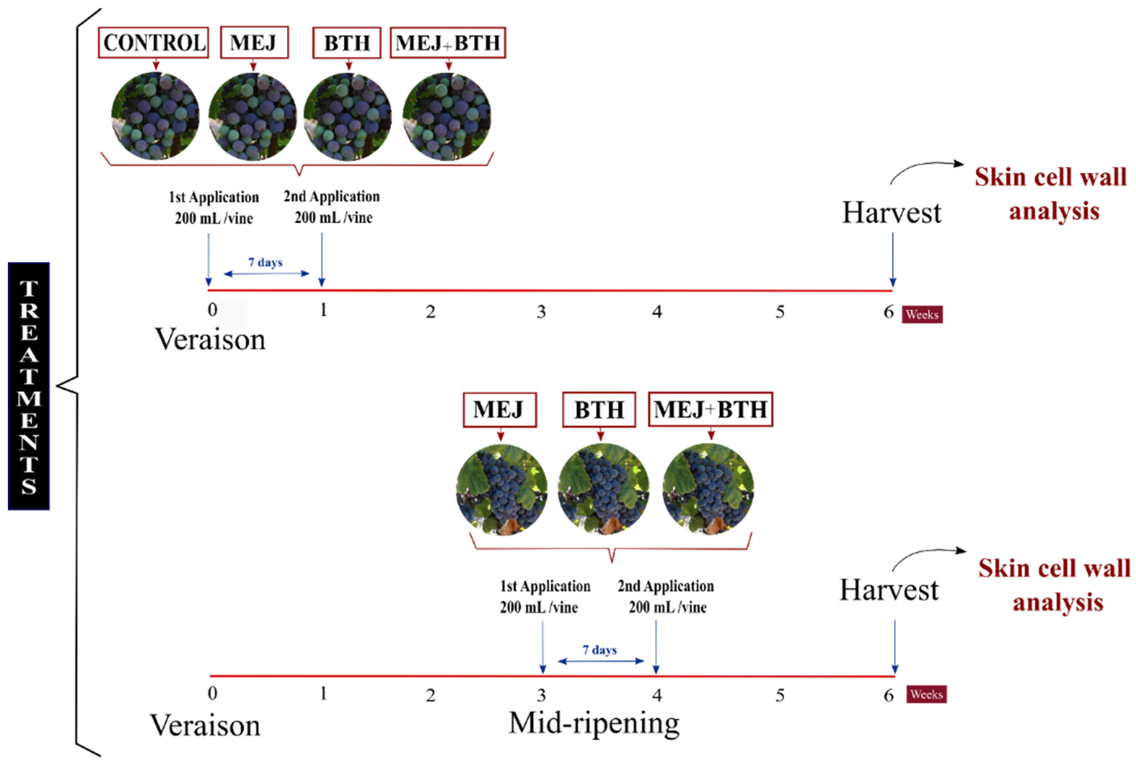 Chemistry 04 00008 g001