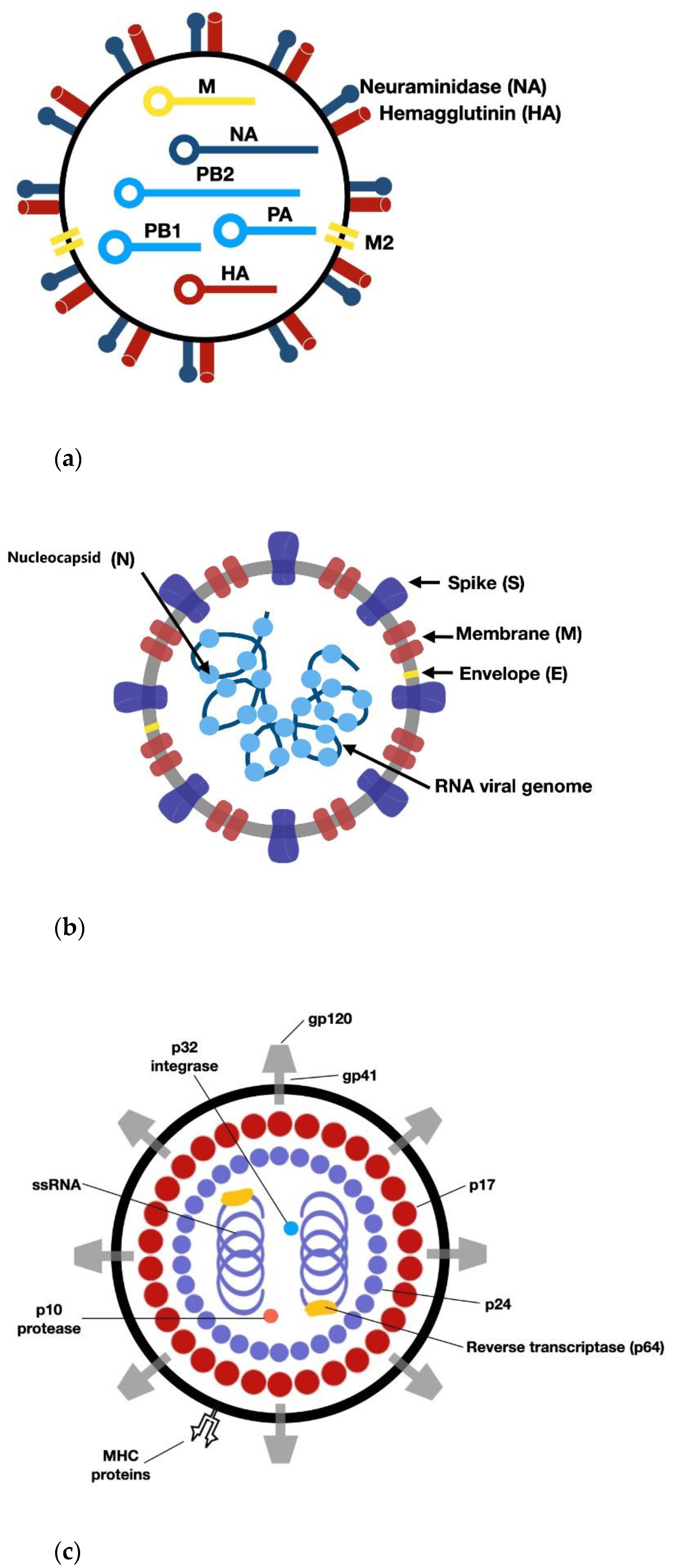 Chemistry 04 00019 g001