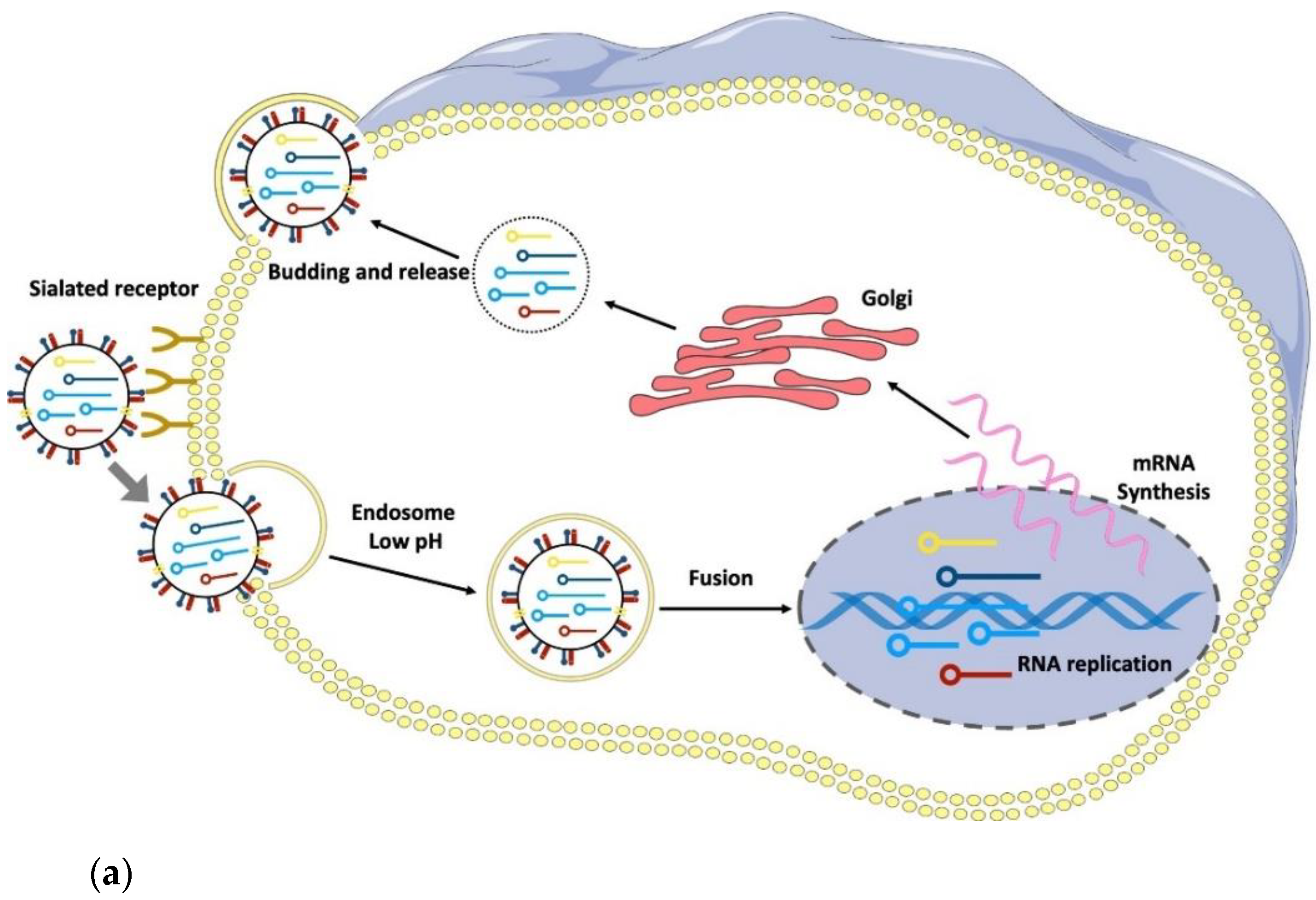 Chemistry 04 00019 g002a