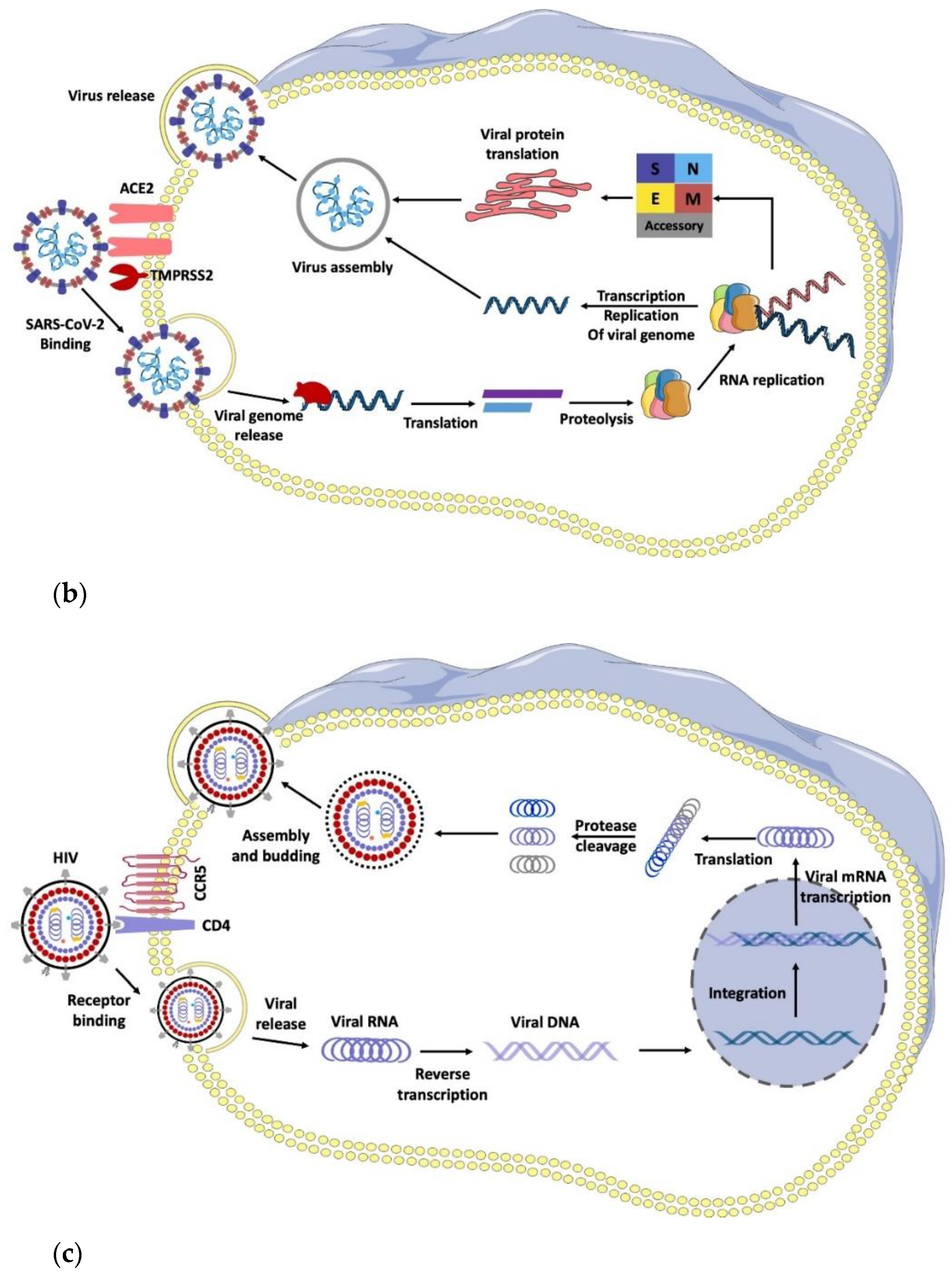 Chemistry 04 00019 g002b