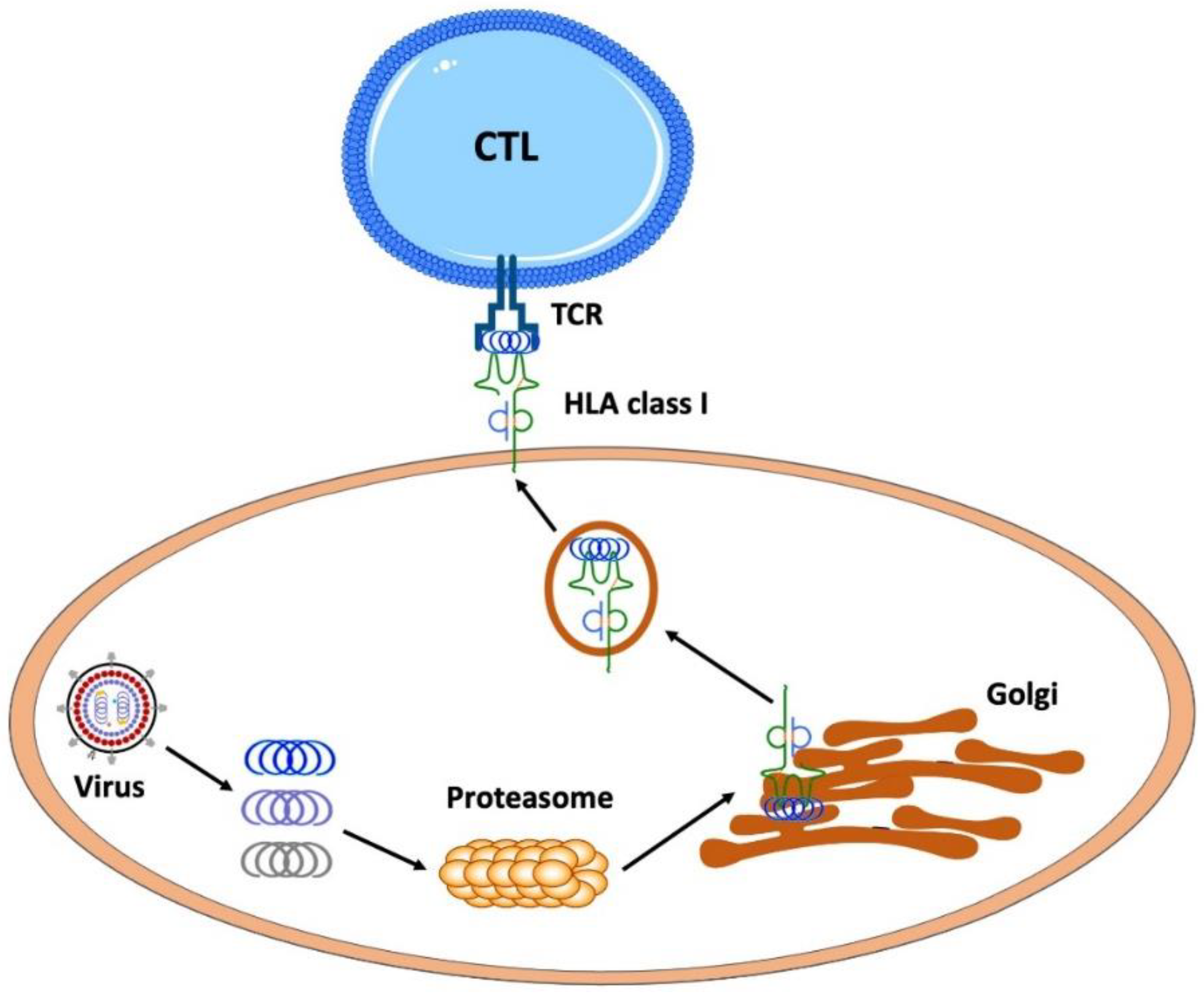 Chemistry 04 00019 g004