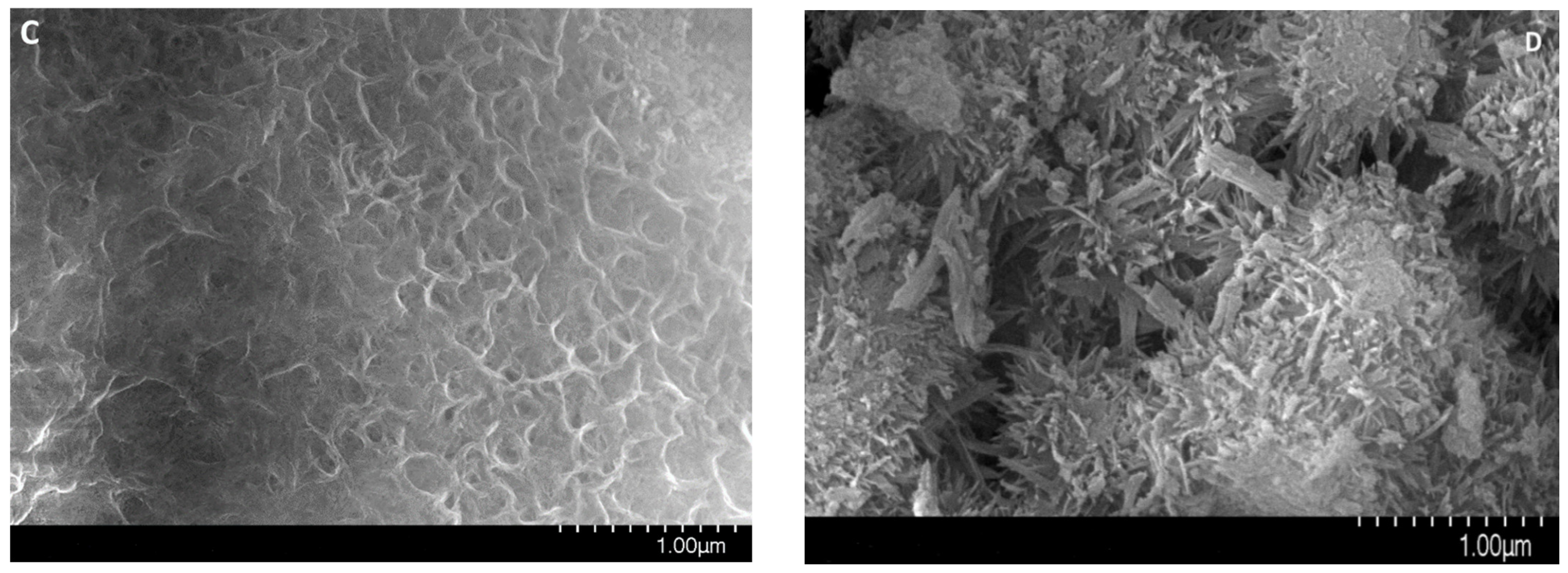 Chemistry 04 00024 g003b