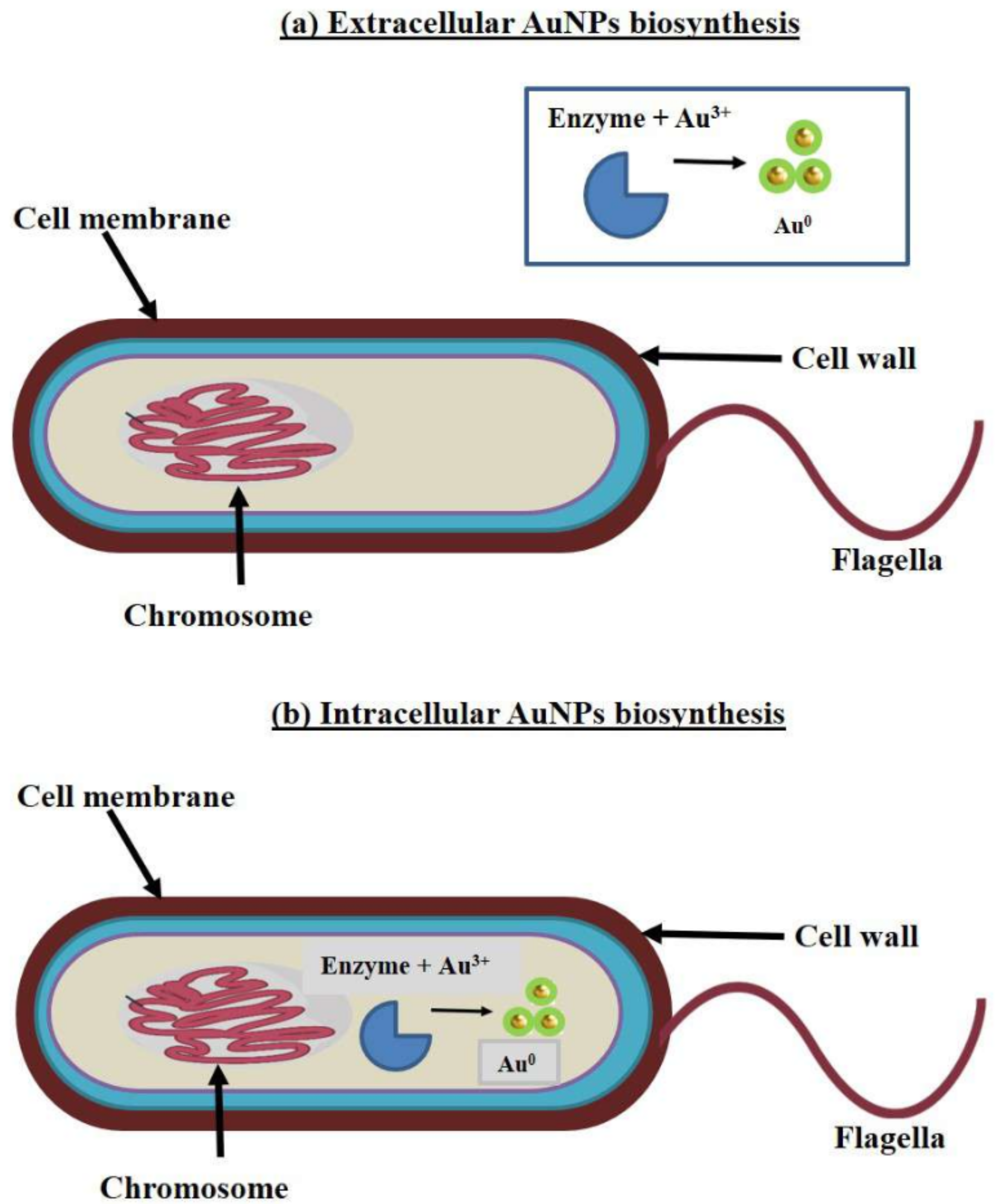 Chemistry 04 00026 g005