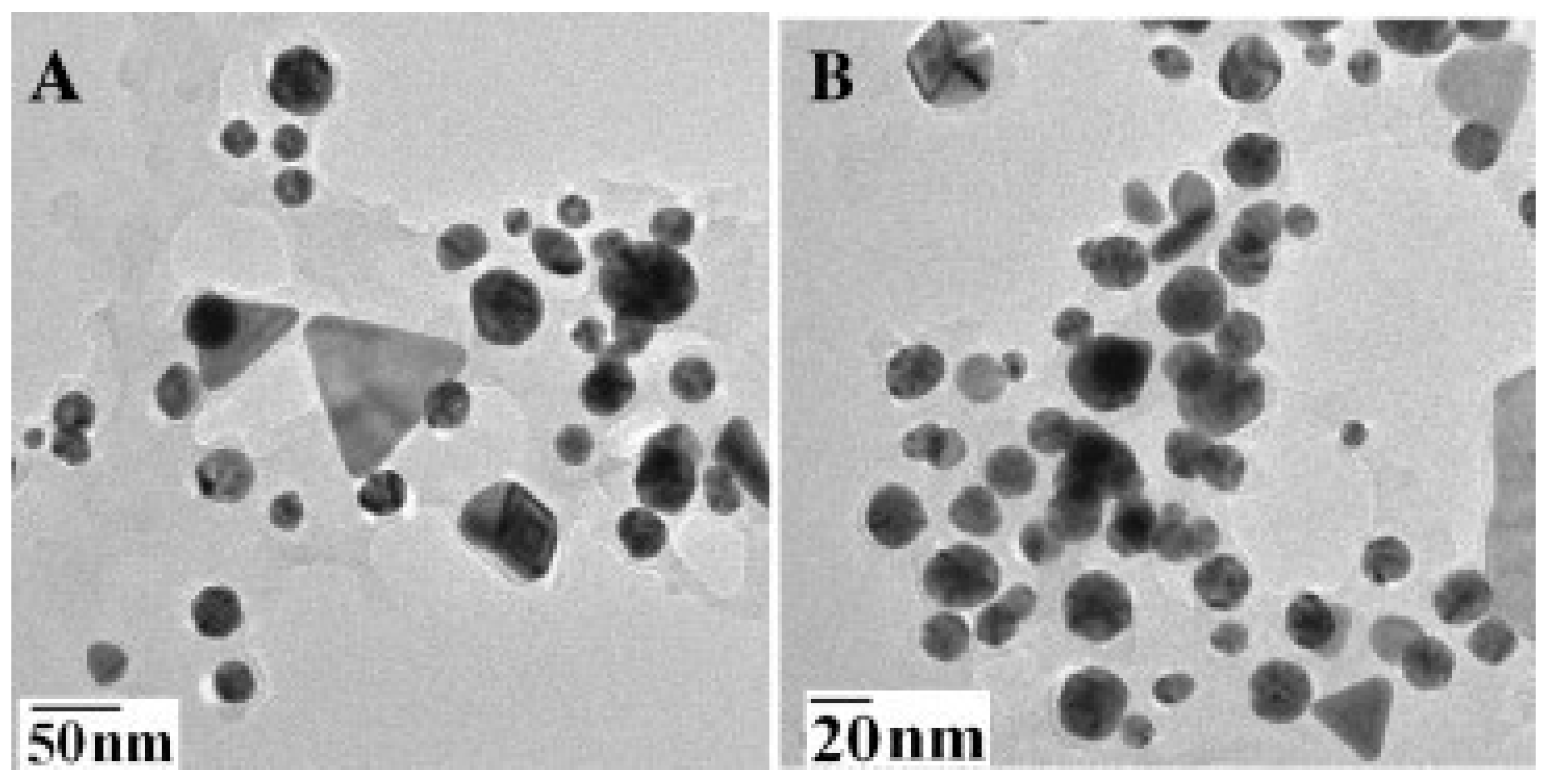 Chemistry 04 00026 g006