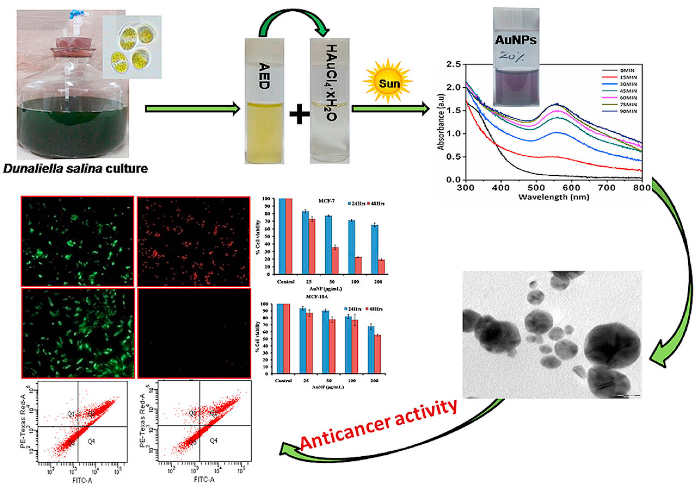 Chemistry 04 00026 g007