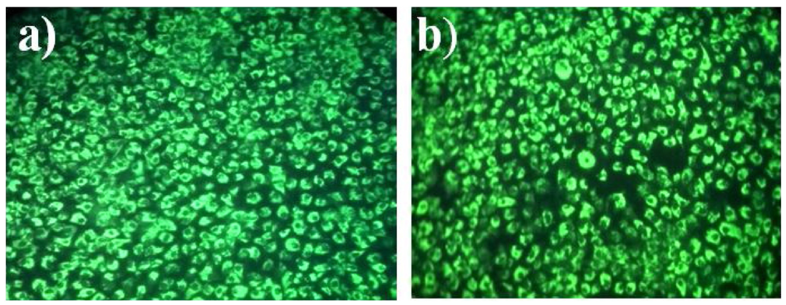Chemistry 04 00026 g009