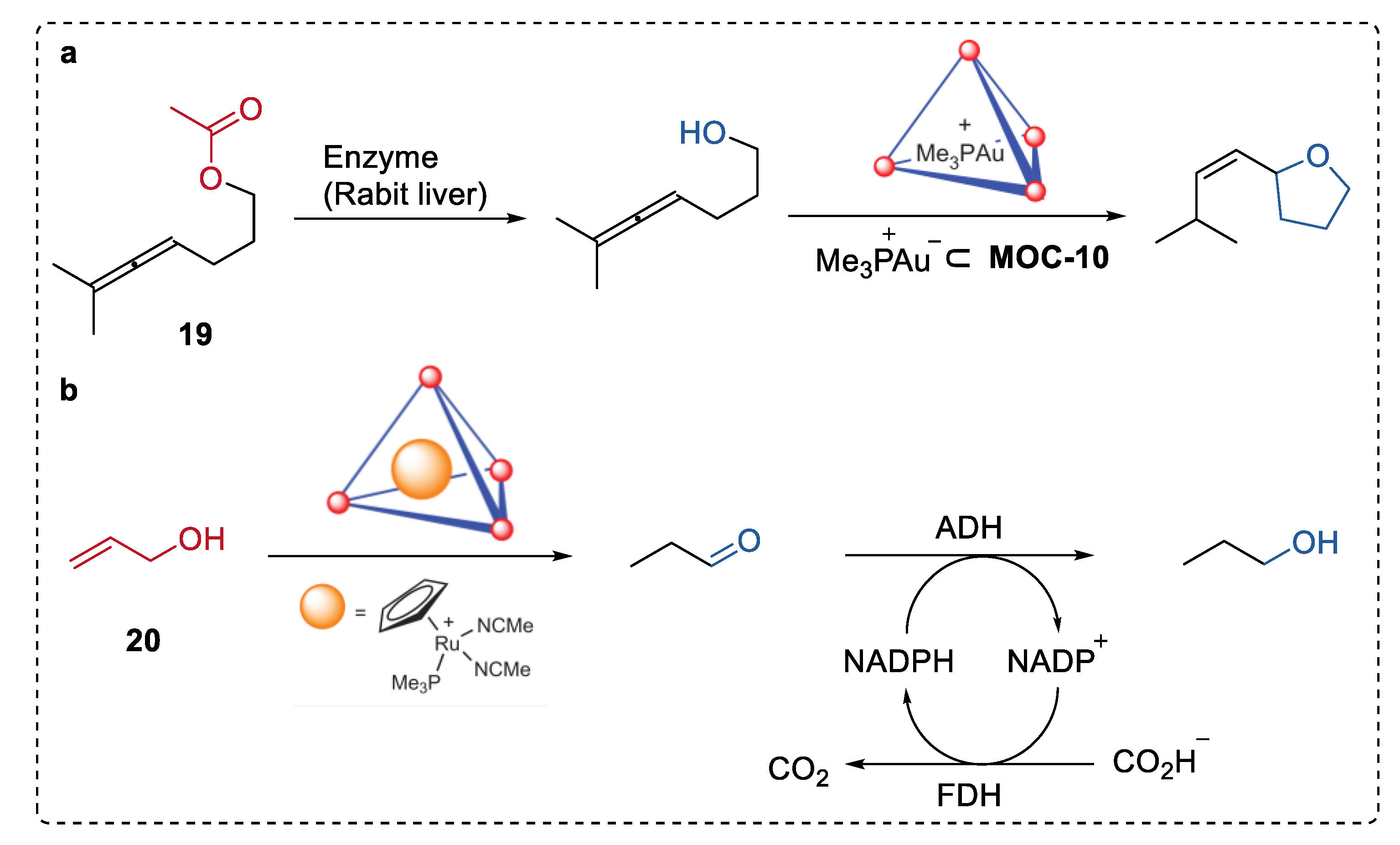 Chemistry 04 00036 g015