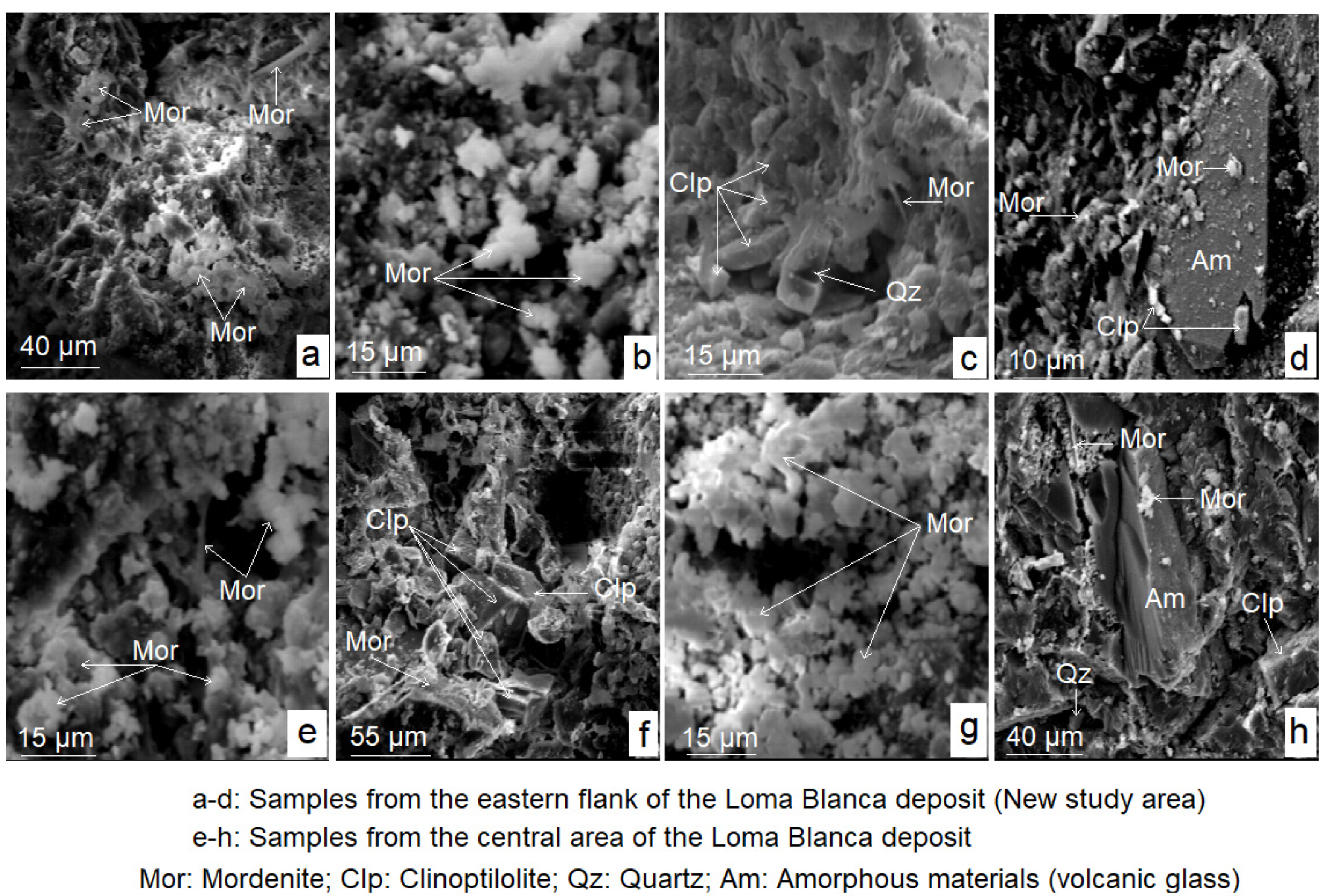 Chemistry 04 00048 g003