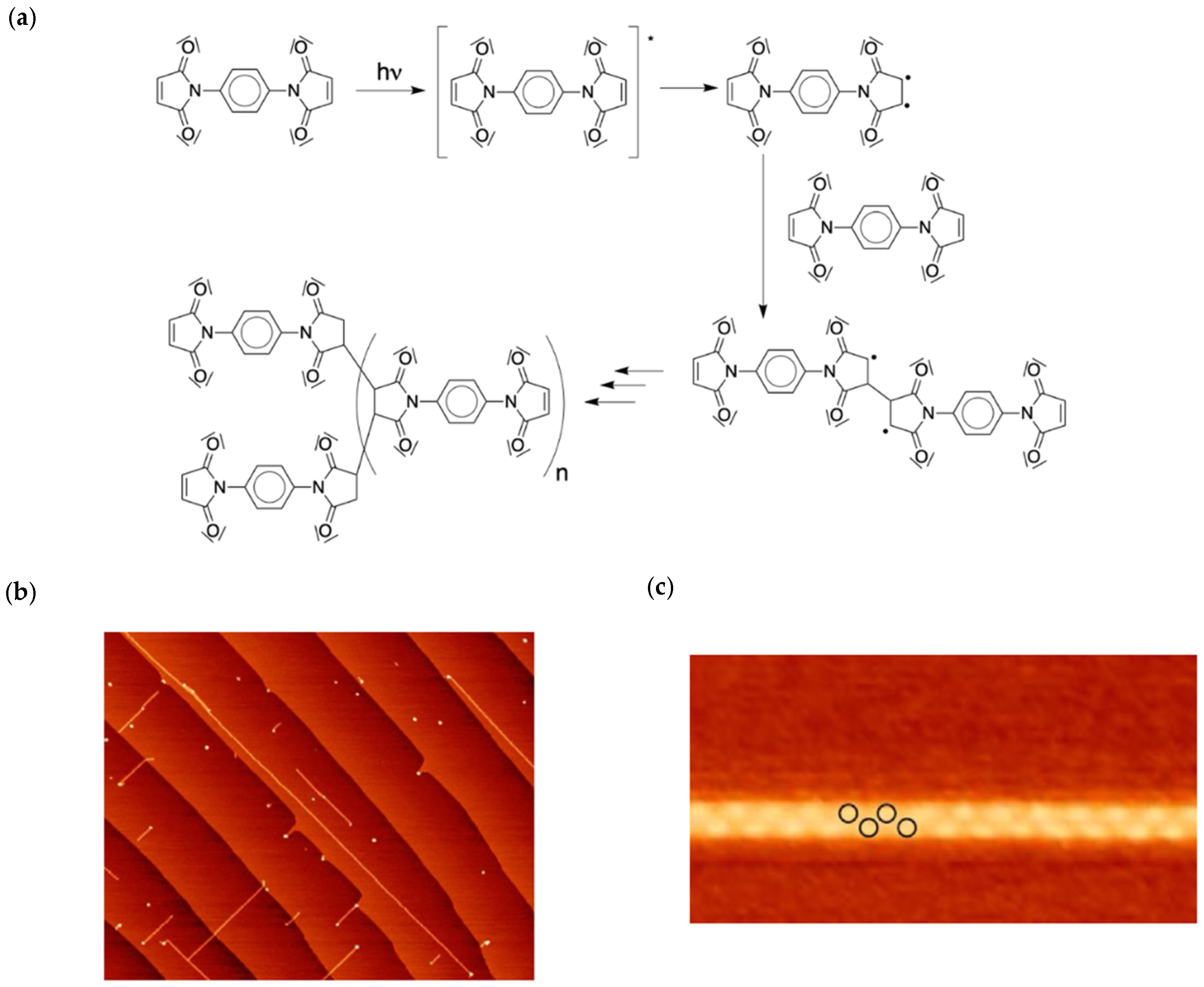Chemistry 04 00057 g009