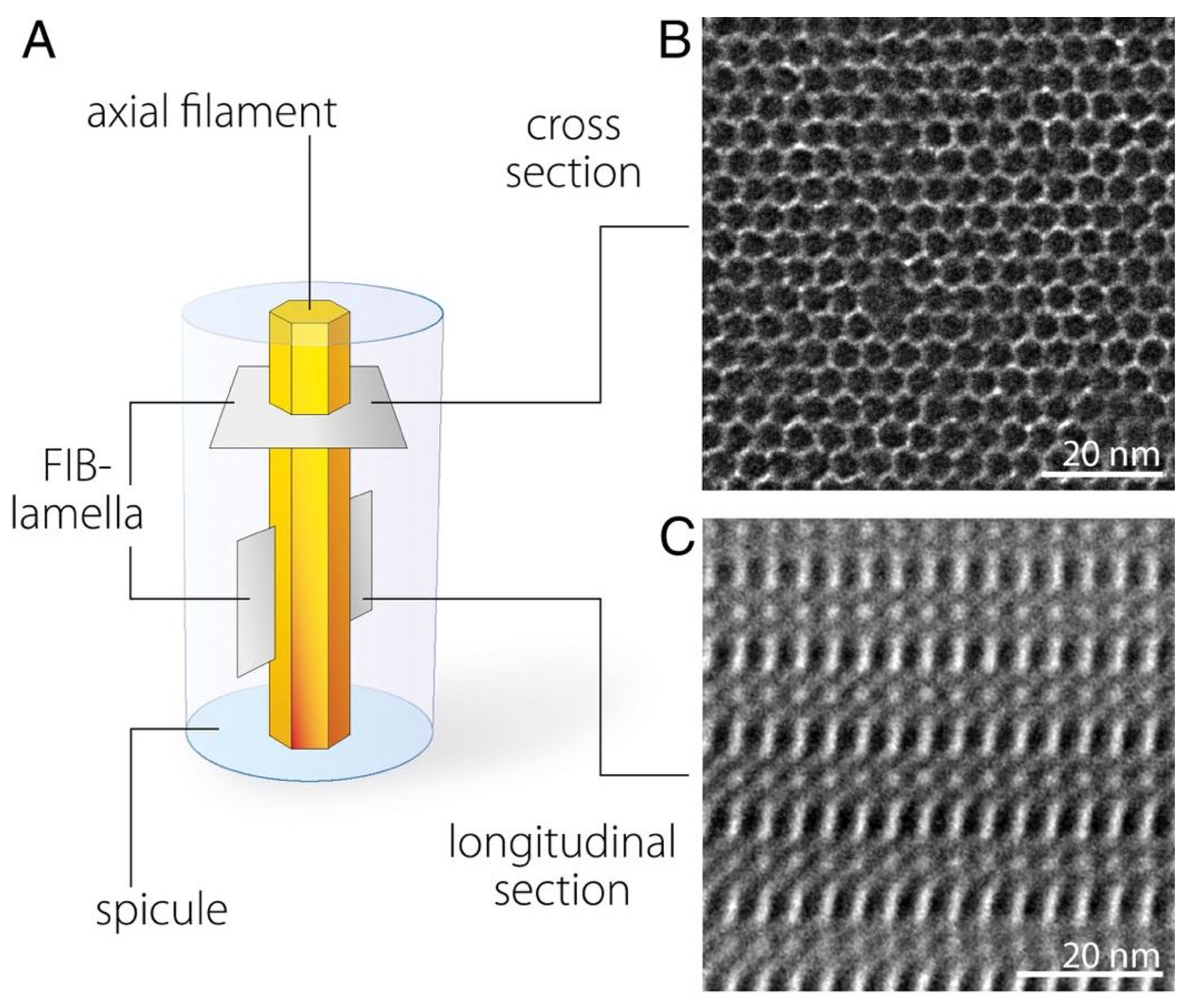 Chemistry 04 00059 g004b