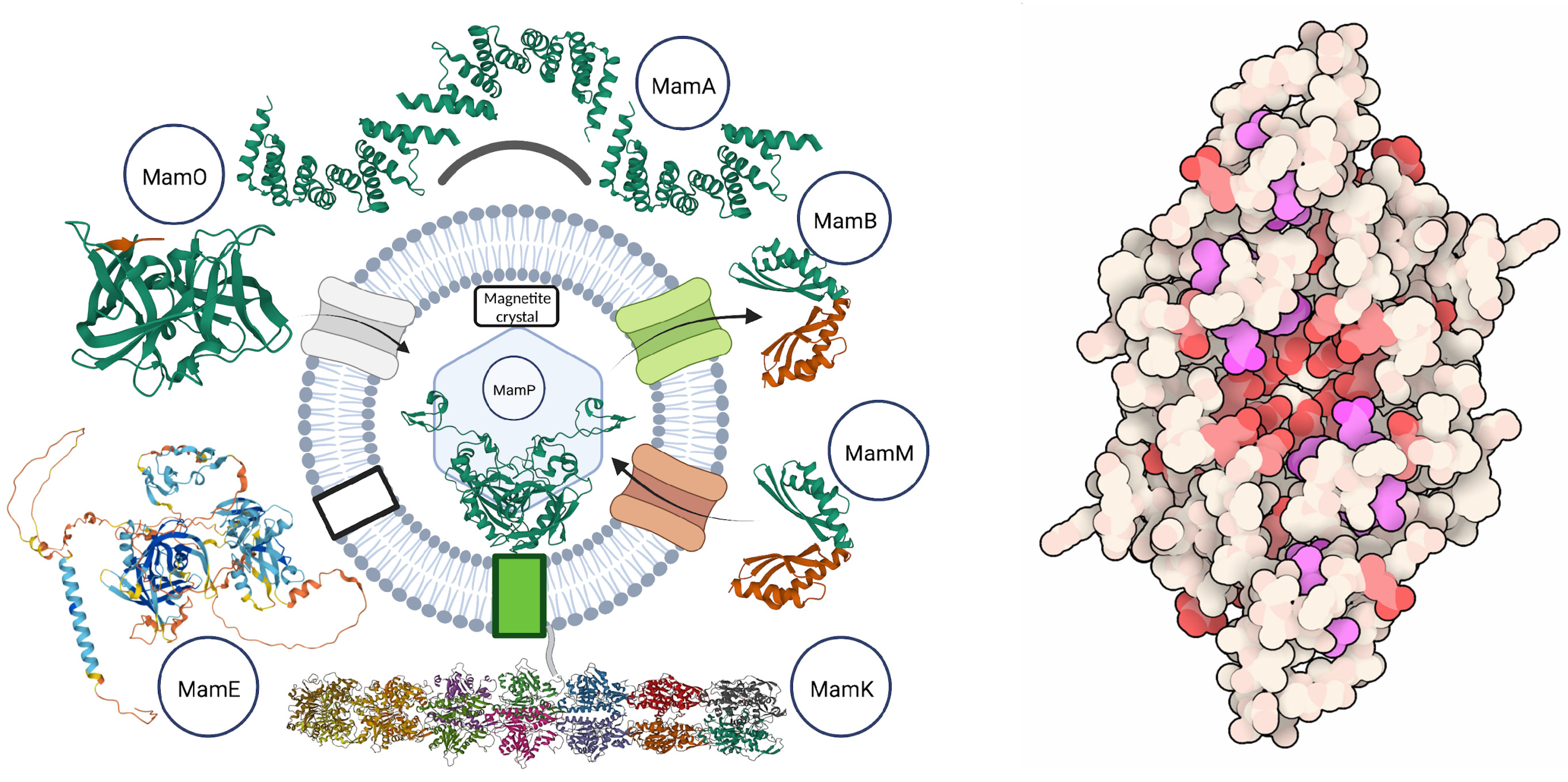 Chemistry 04 00059 g005