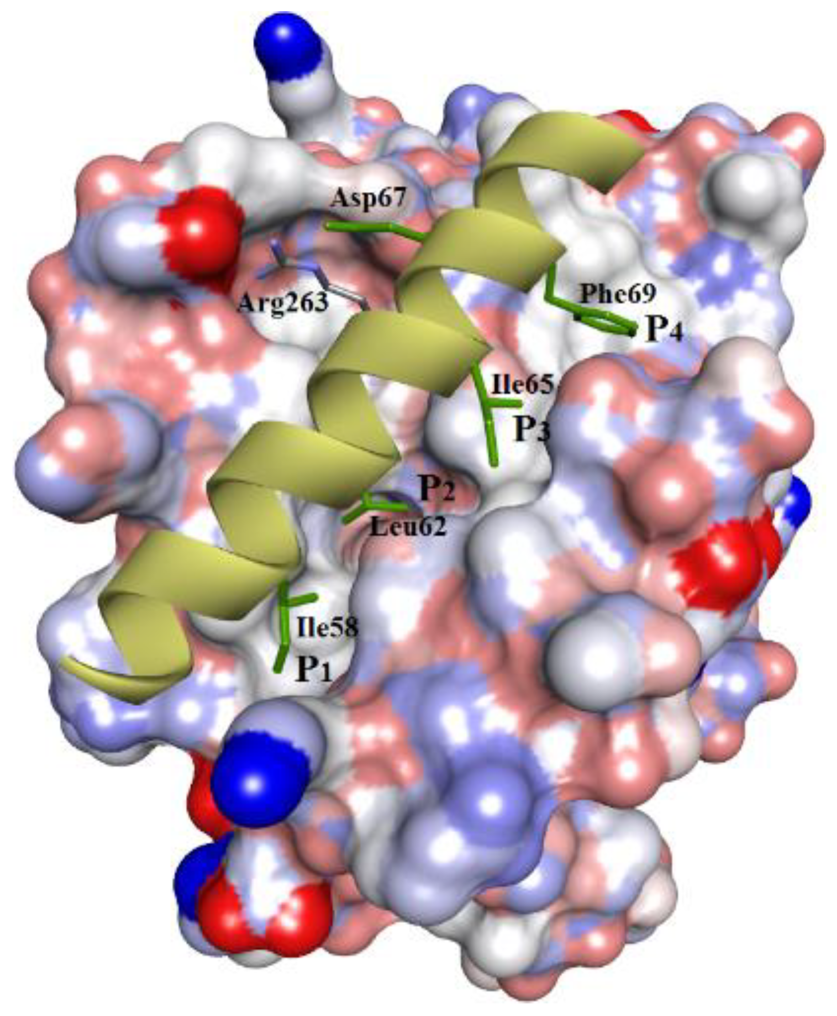 Chemistry 04 00067 g001