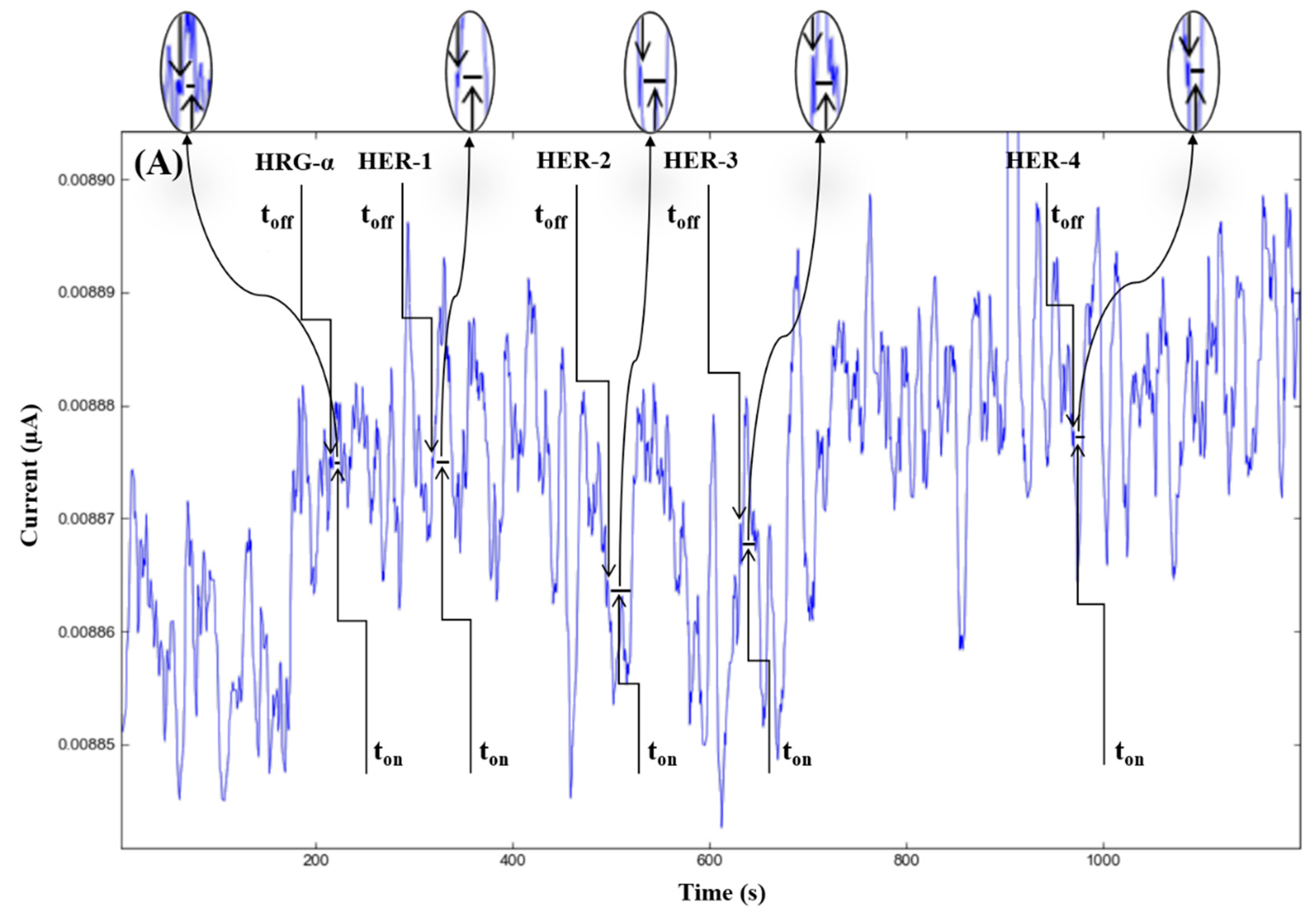 Chemistry 04 00090 g002a