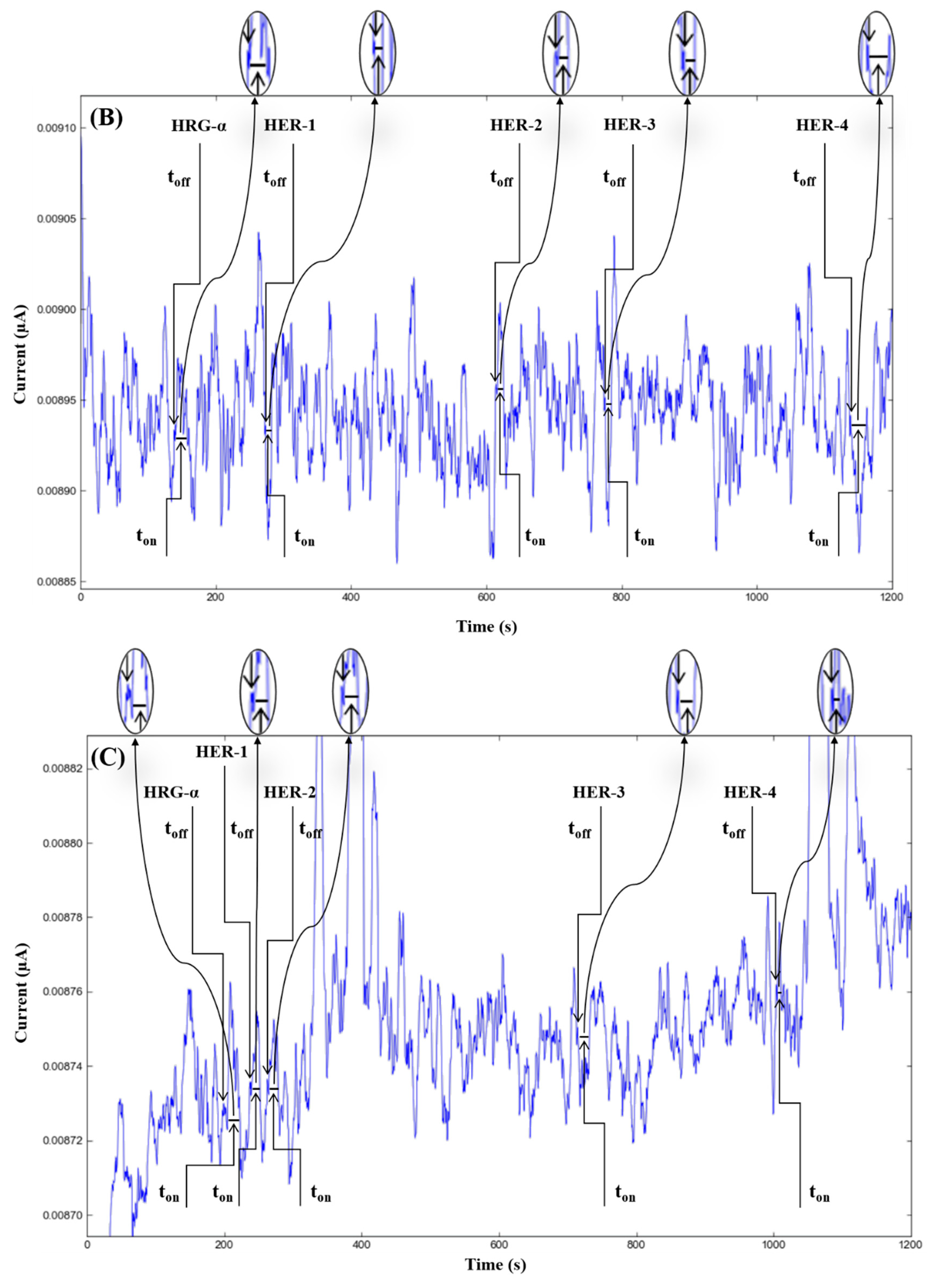 Chemistry 04 00090 g002b
