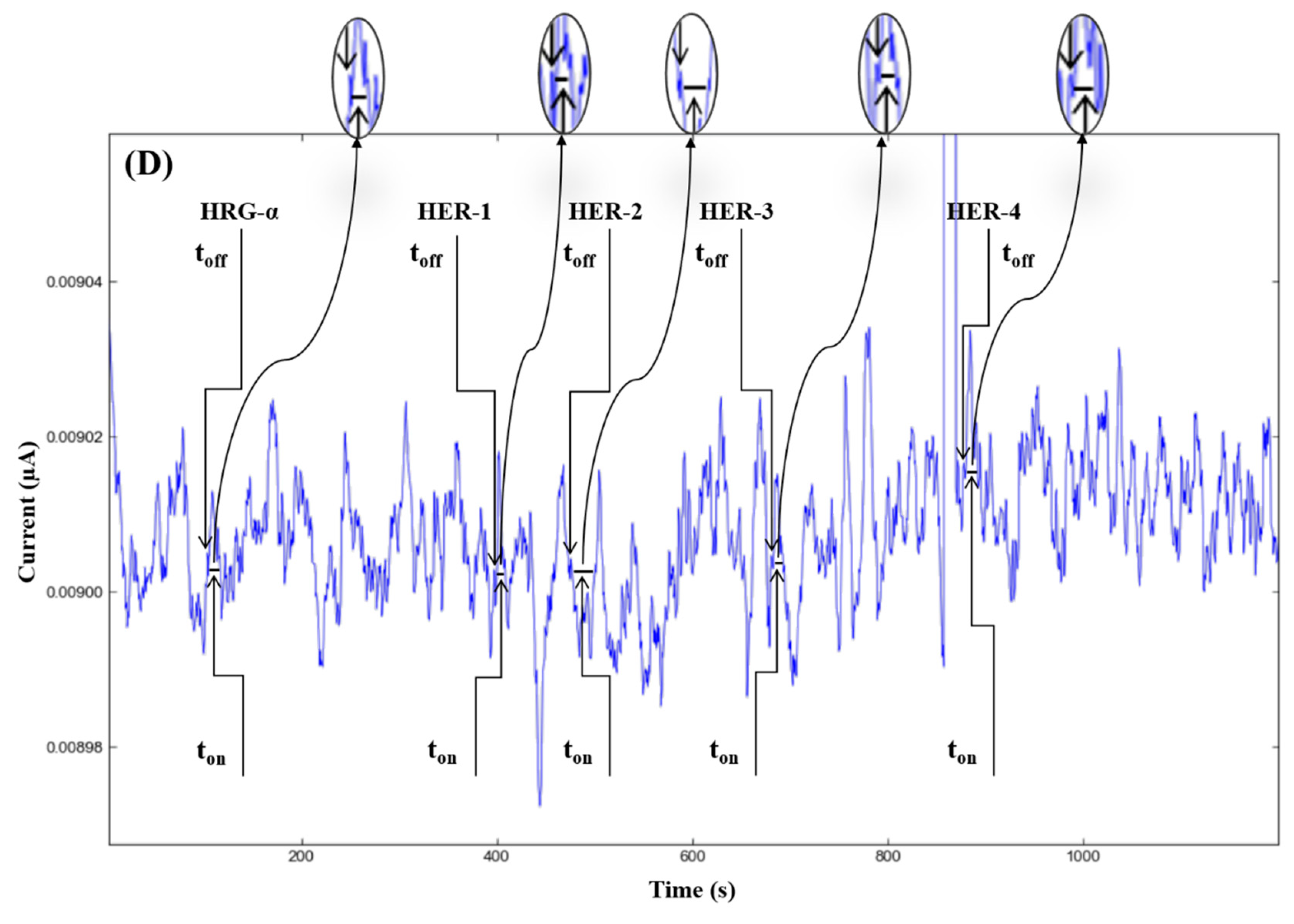 Chemistry 04 00090 g002c