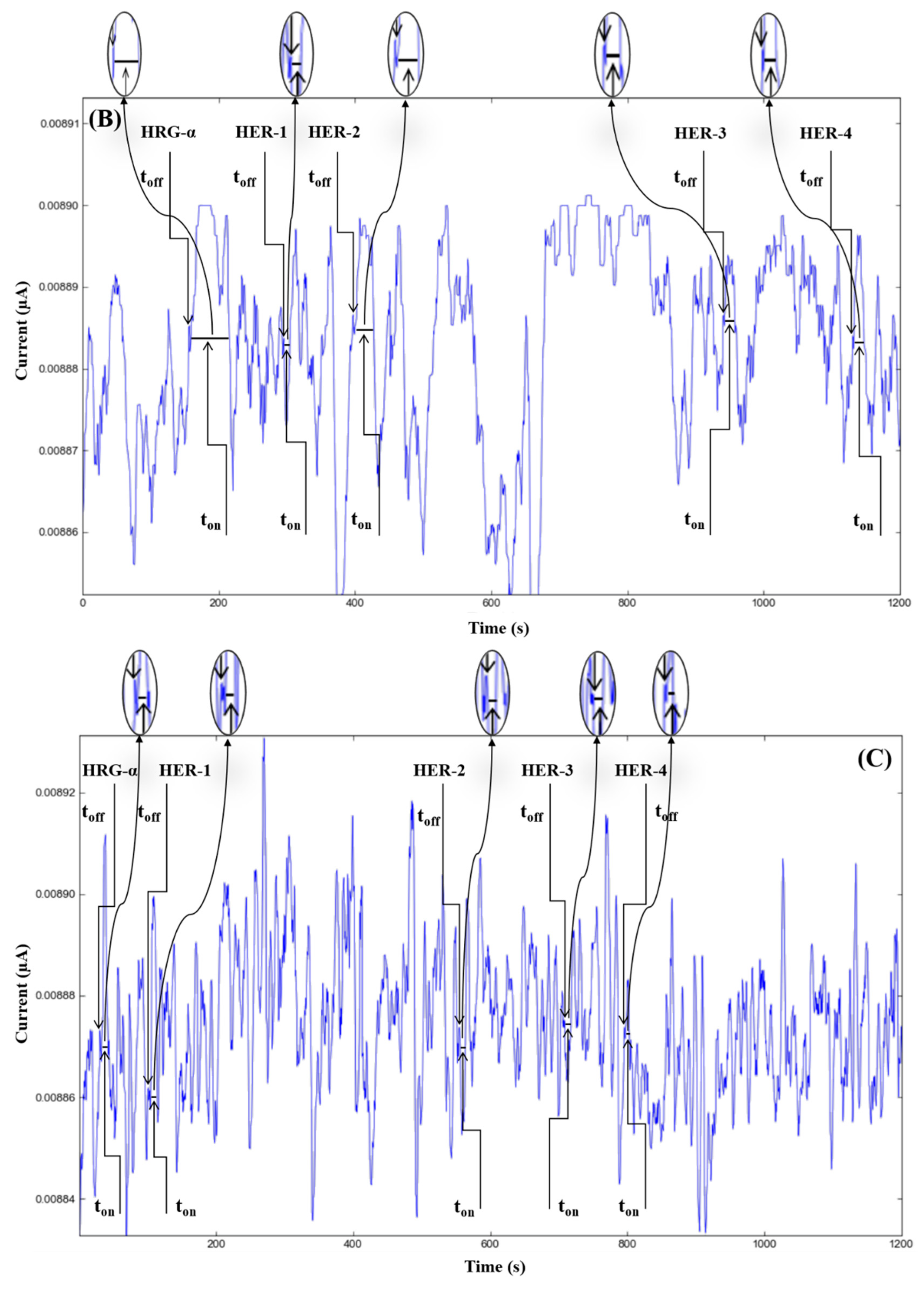 Chemistry 04 00090 g003b