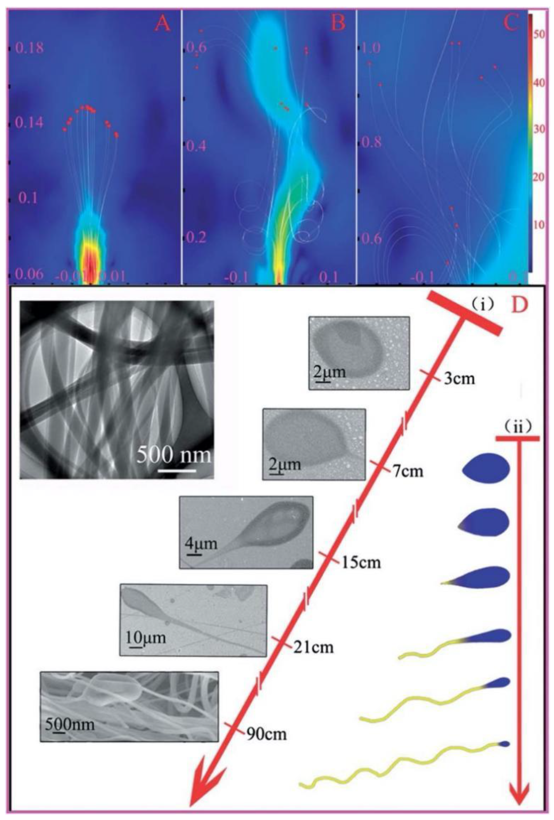 Chemistry 04 00098 g007