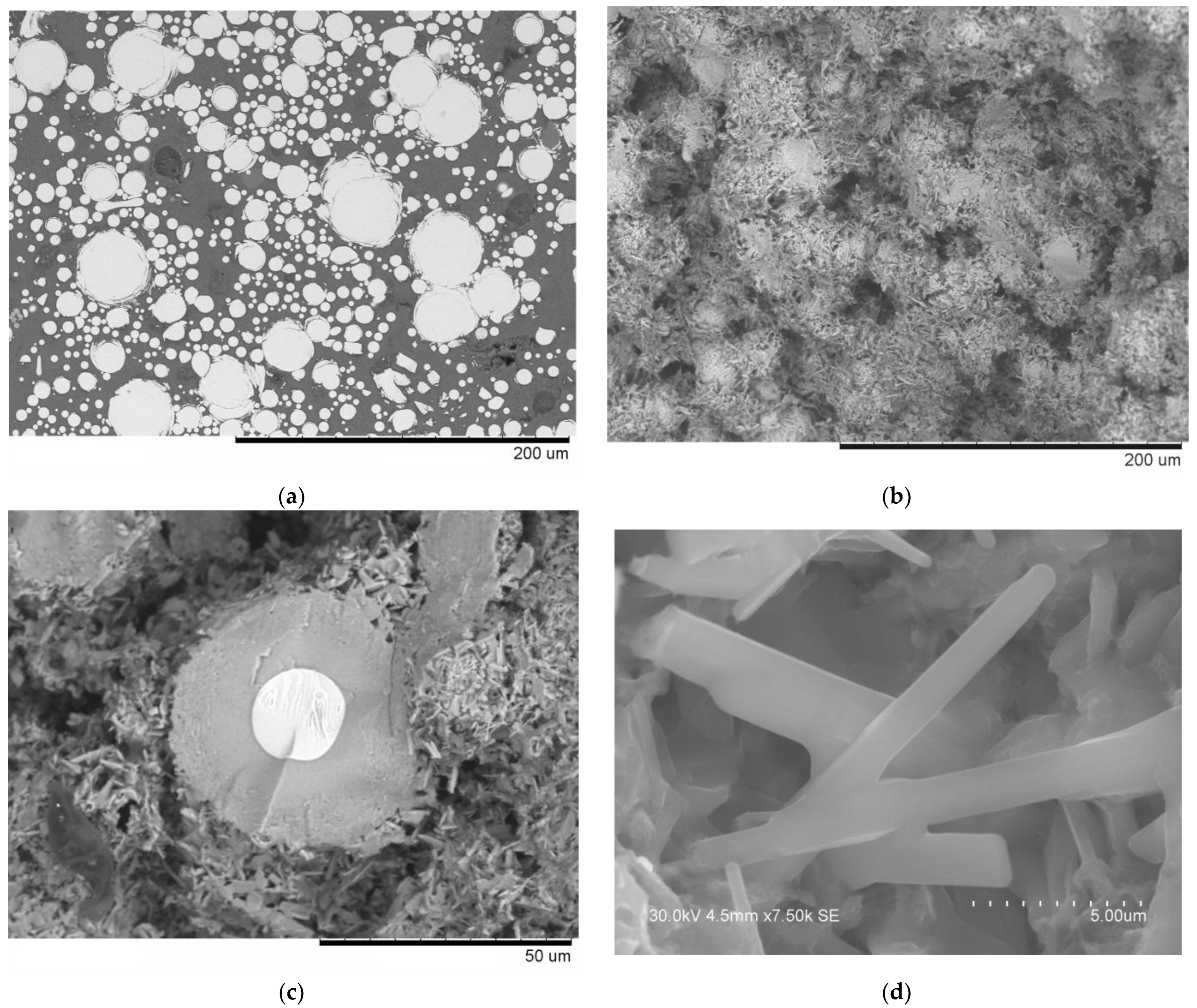 Chemistry 05 00011 g008
