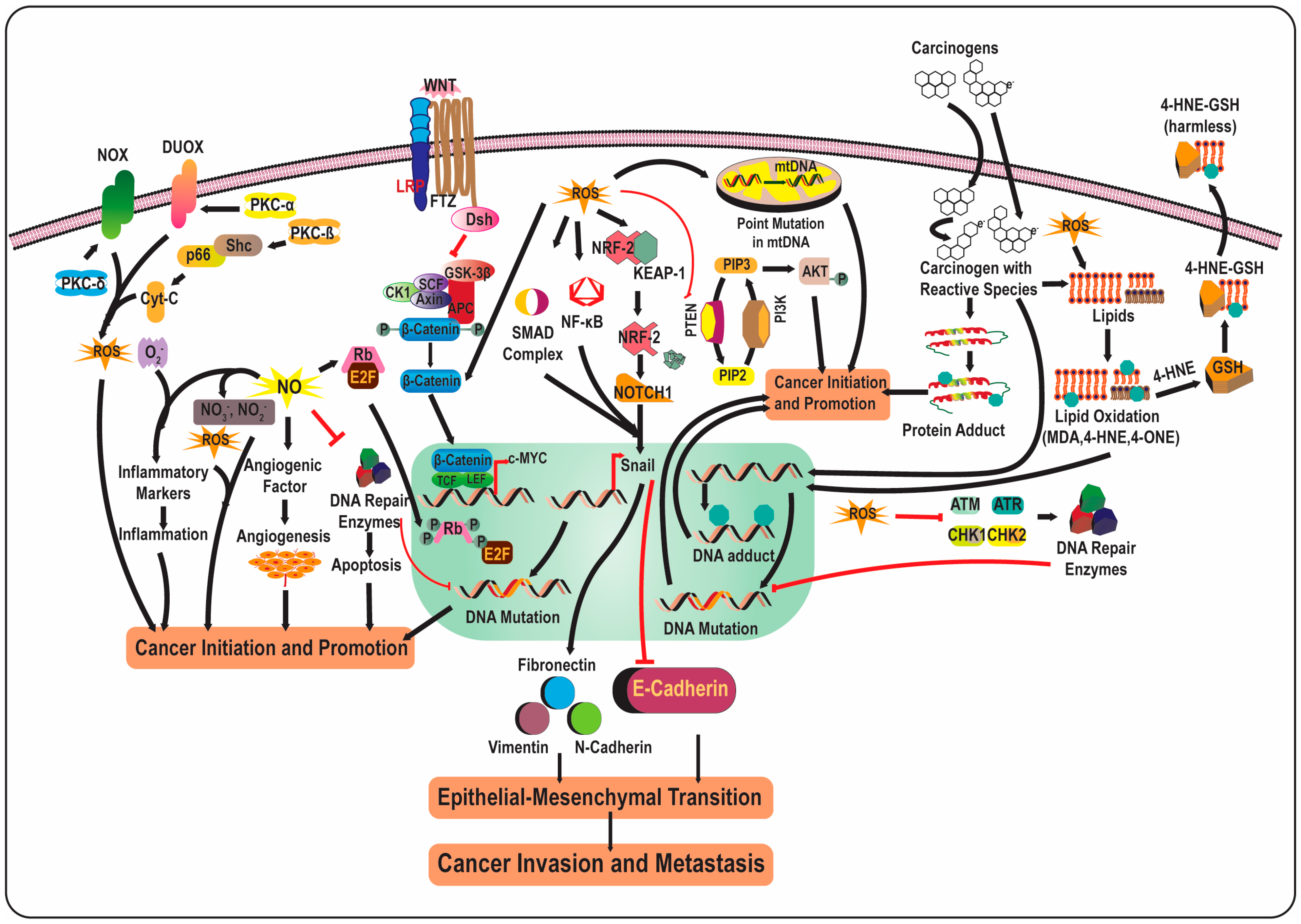 Chemistry 05 00017 g002