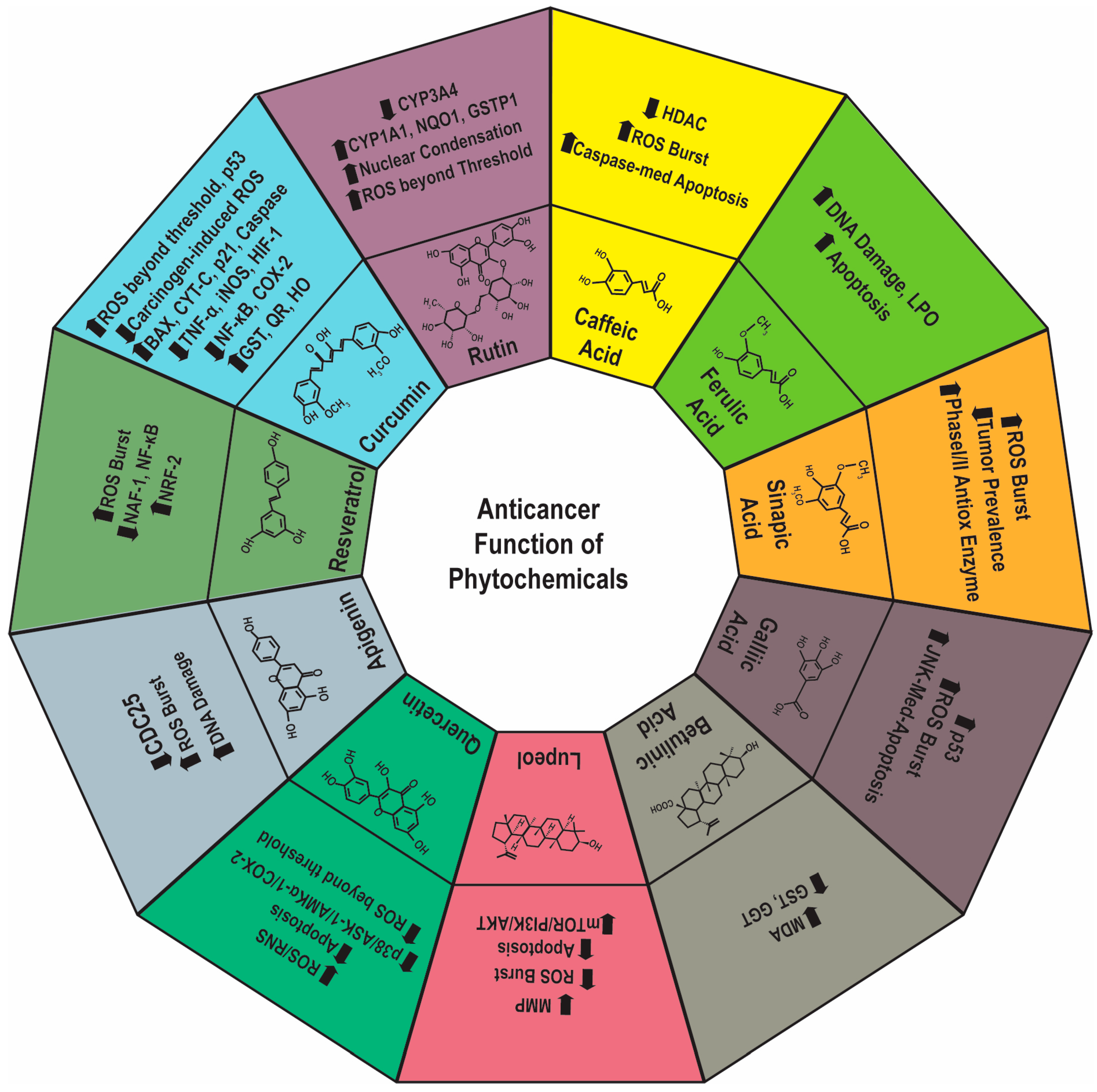 Chemistry 05 00017 g003