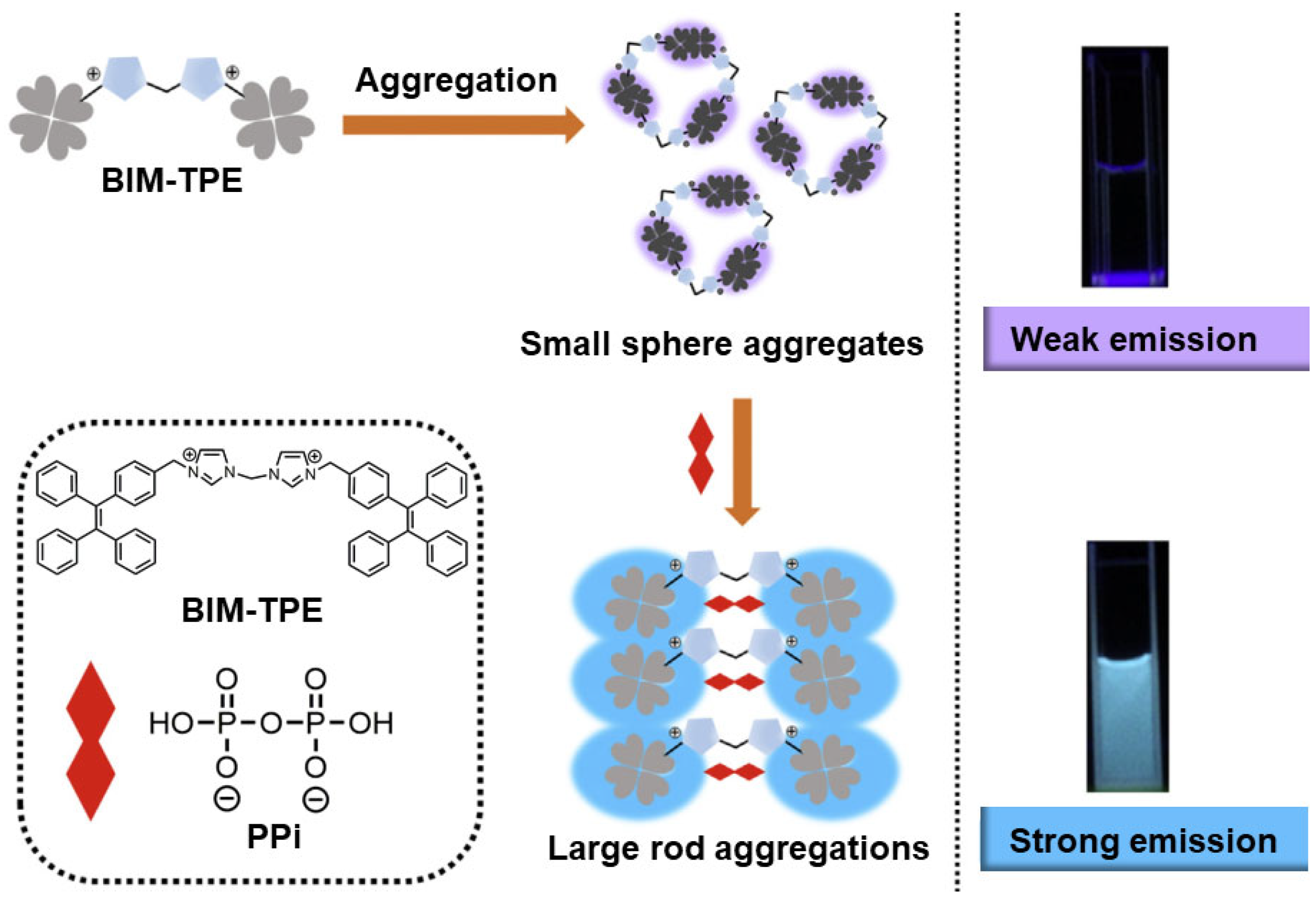 Chemistry 05 00019 g004